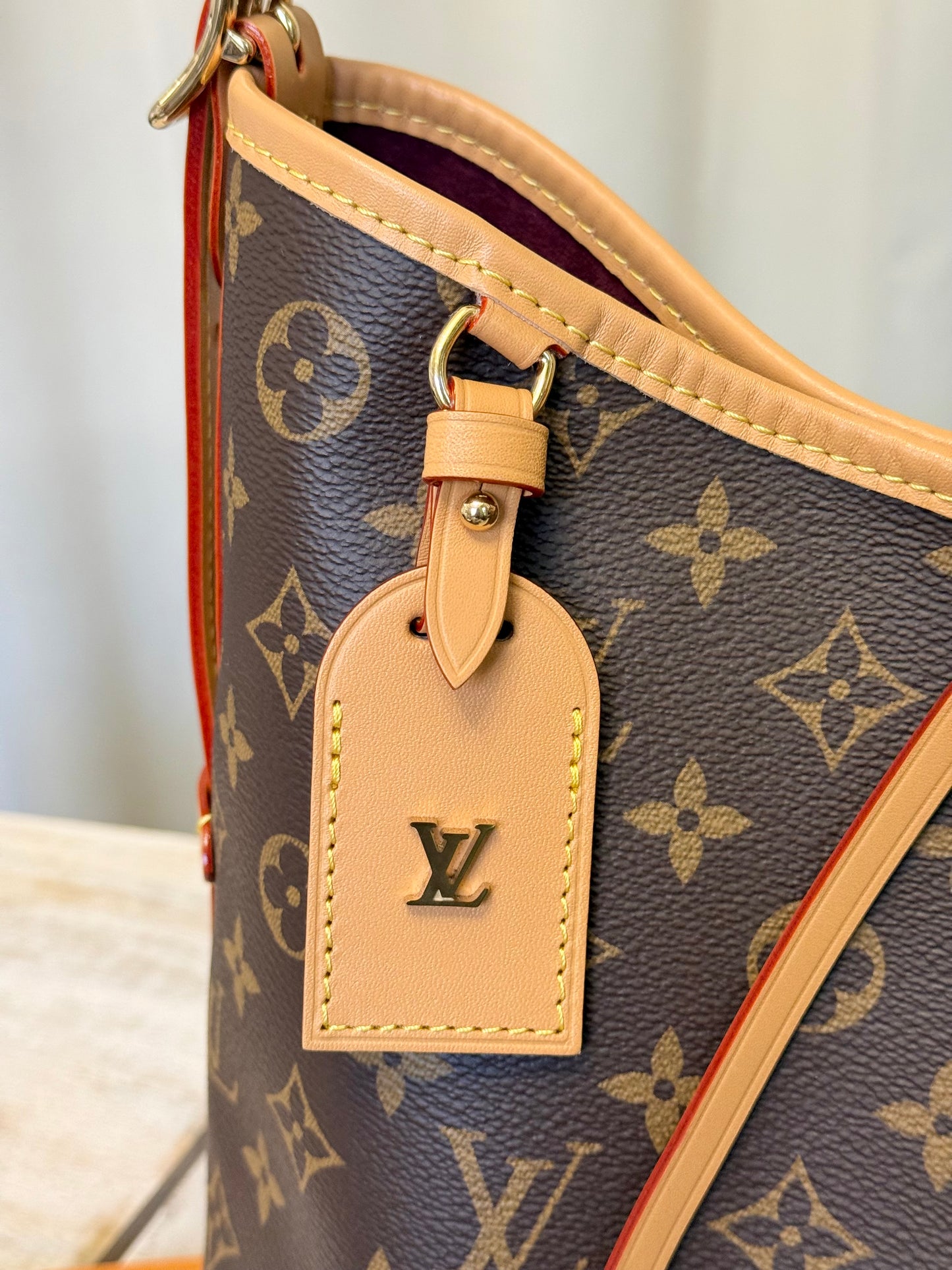 Louis Vuitton Carryall PM Mono (Bag Only)