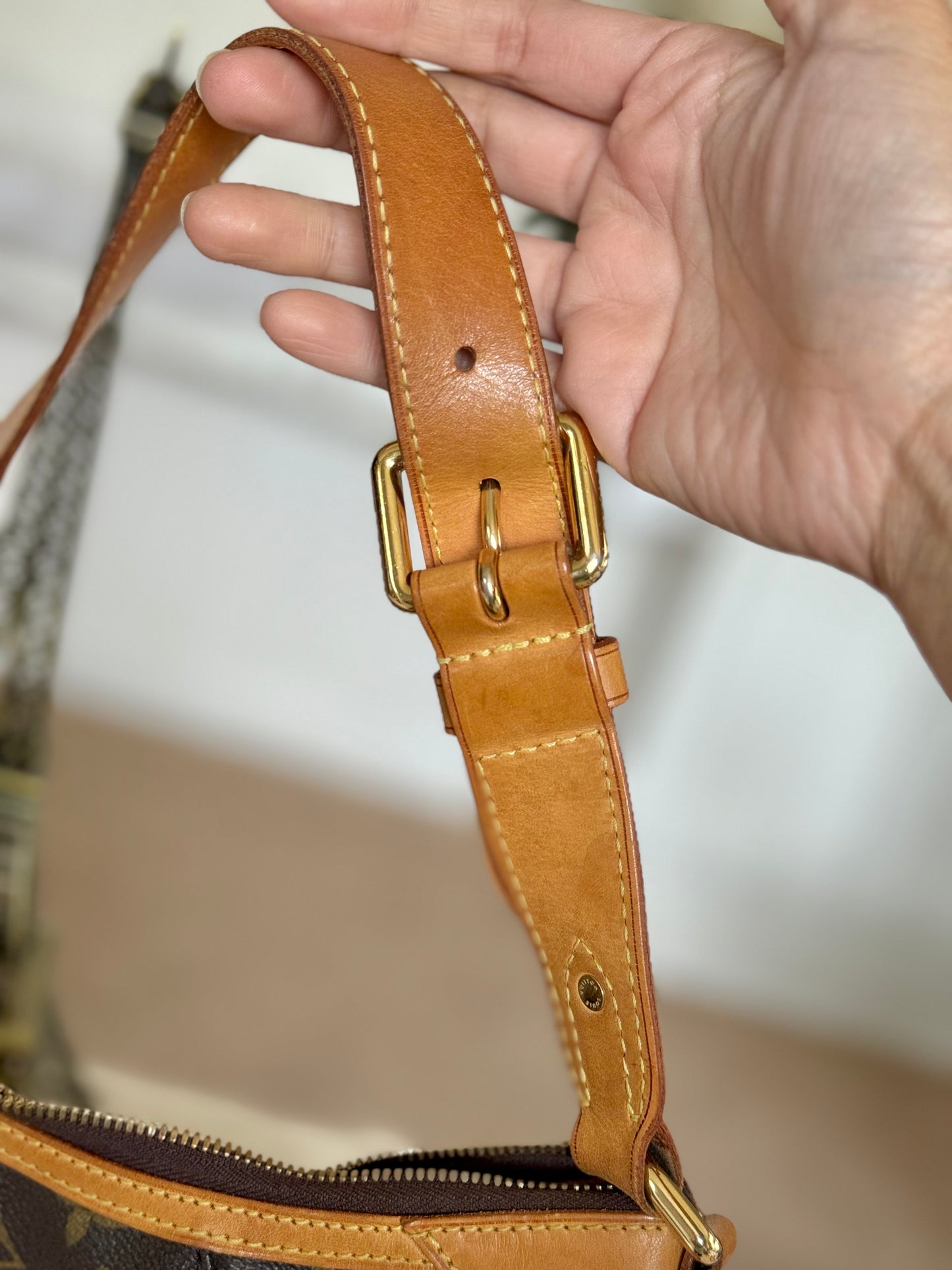 Louis Vuitton Thames PM Mono