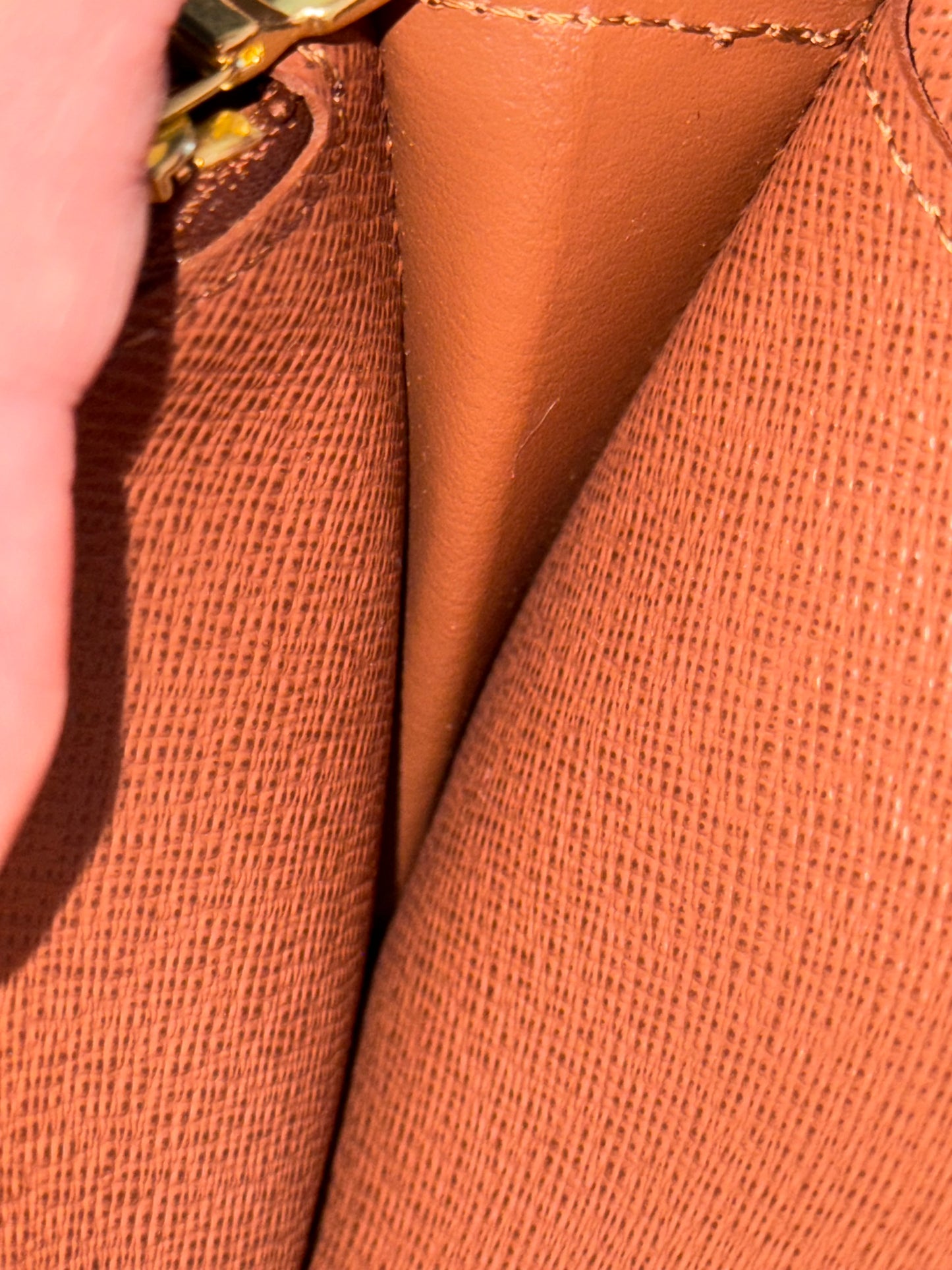 Louis Vuitton Brazza Mono Wallet