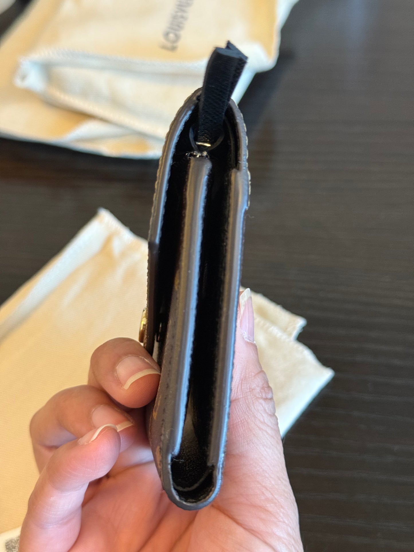 Louis Vuitton Victorine Reverse Mono