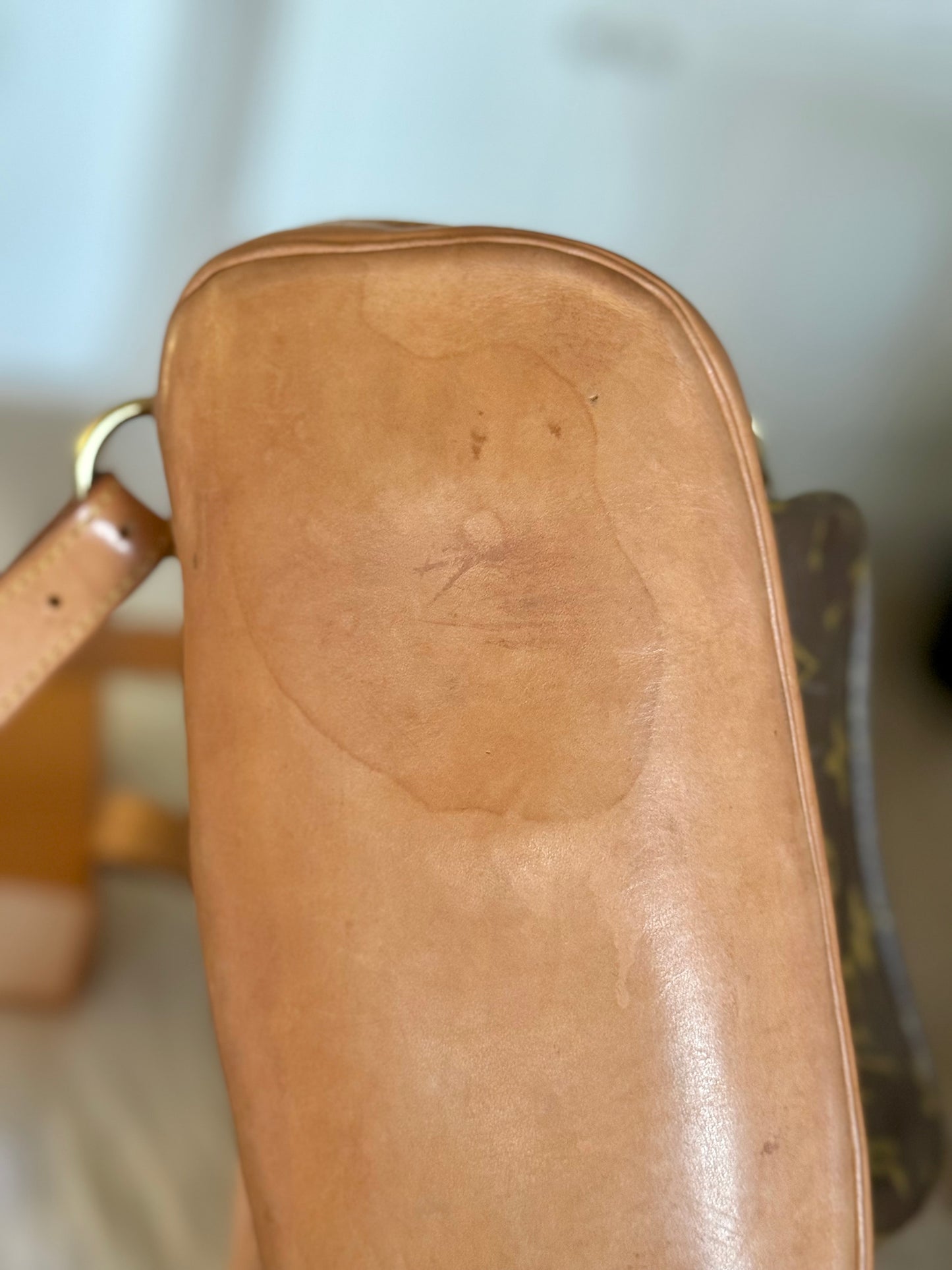 Louis Vuitton Montsouris PM Mono Old Model
