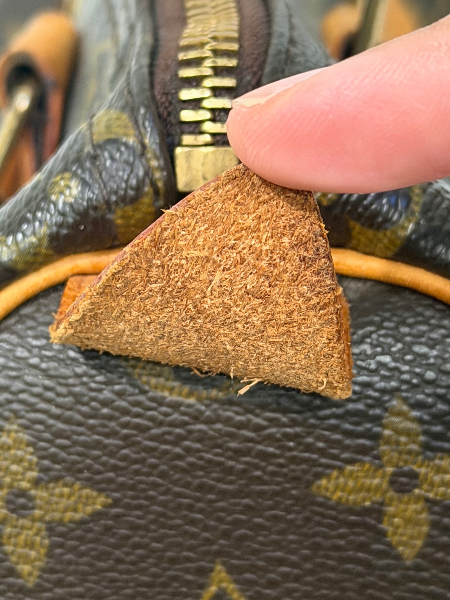 Louis Vuitton Speedy 25 Mono