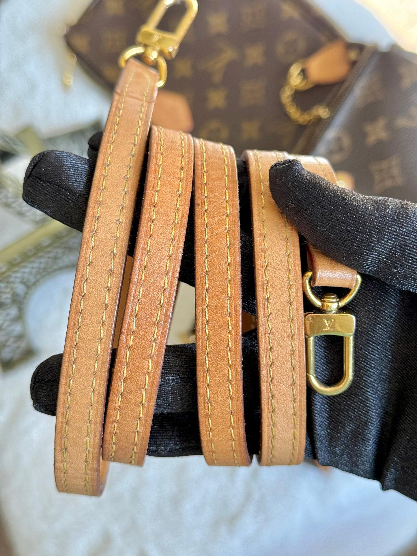 Louis Vuitton Eva Pochette Mono