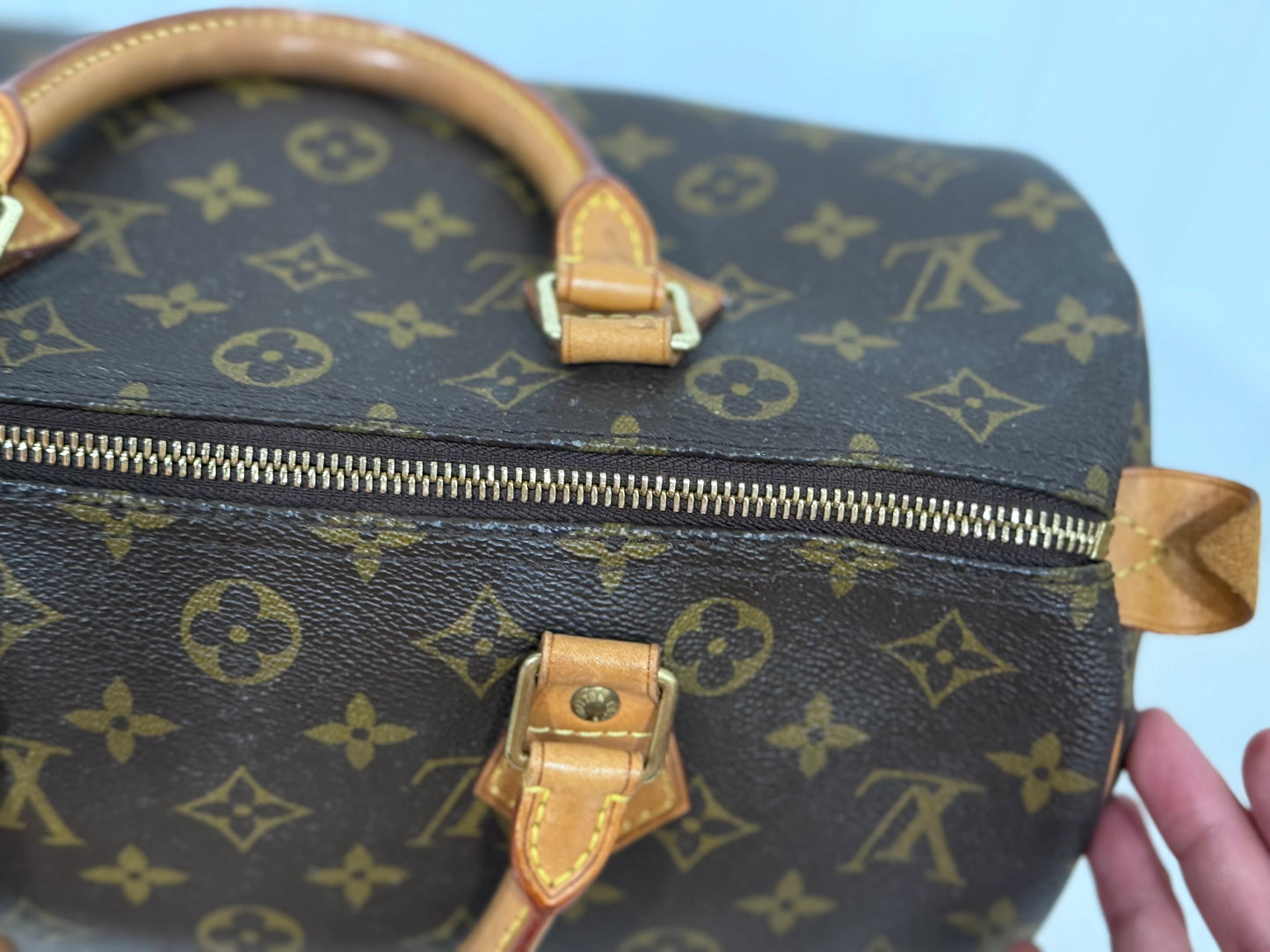 Louis Vuitton Speedy 30 Mono