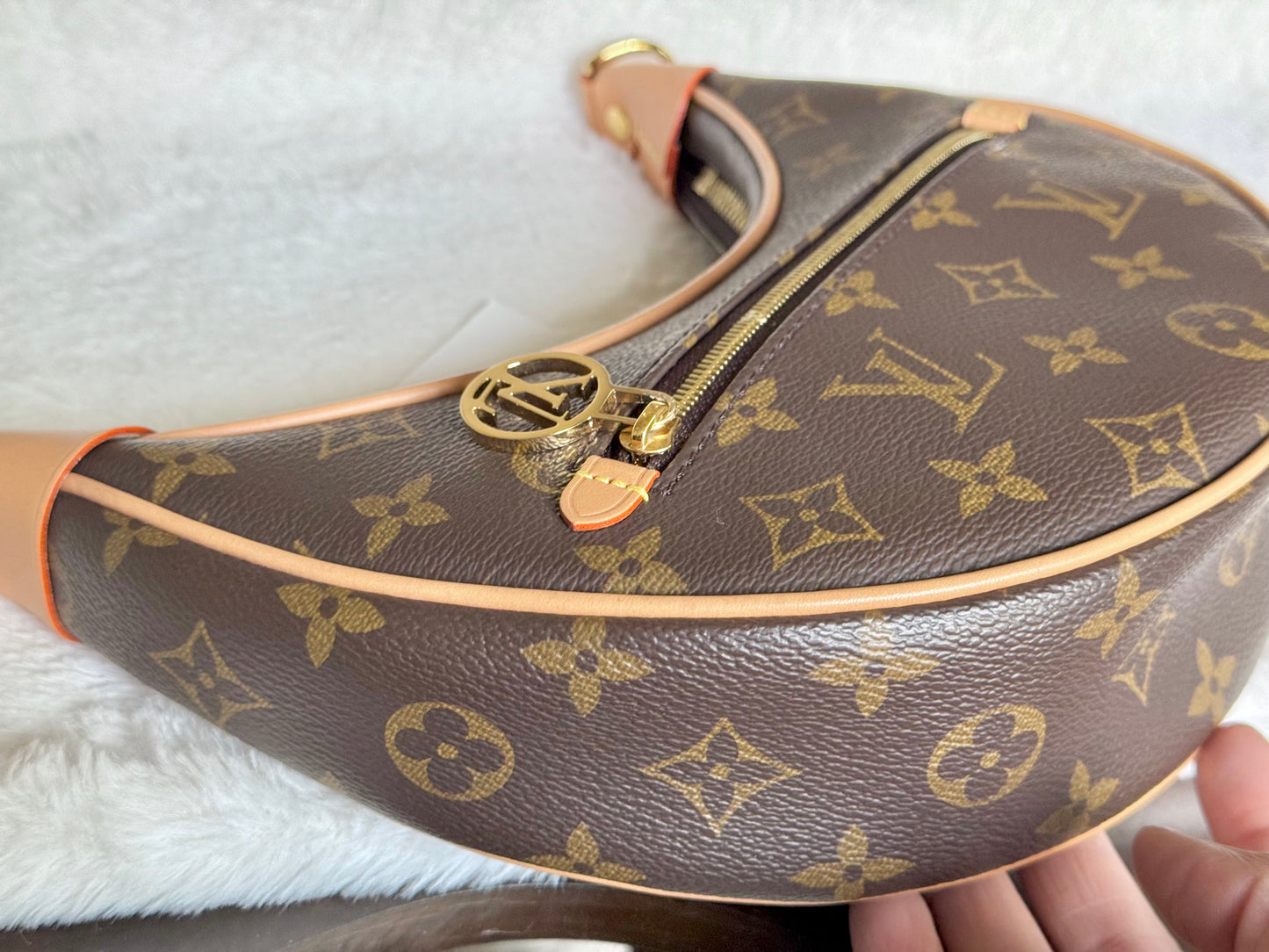 Louis Vuitton Loop PM Mono