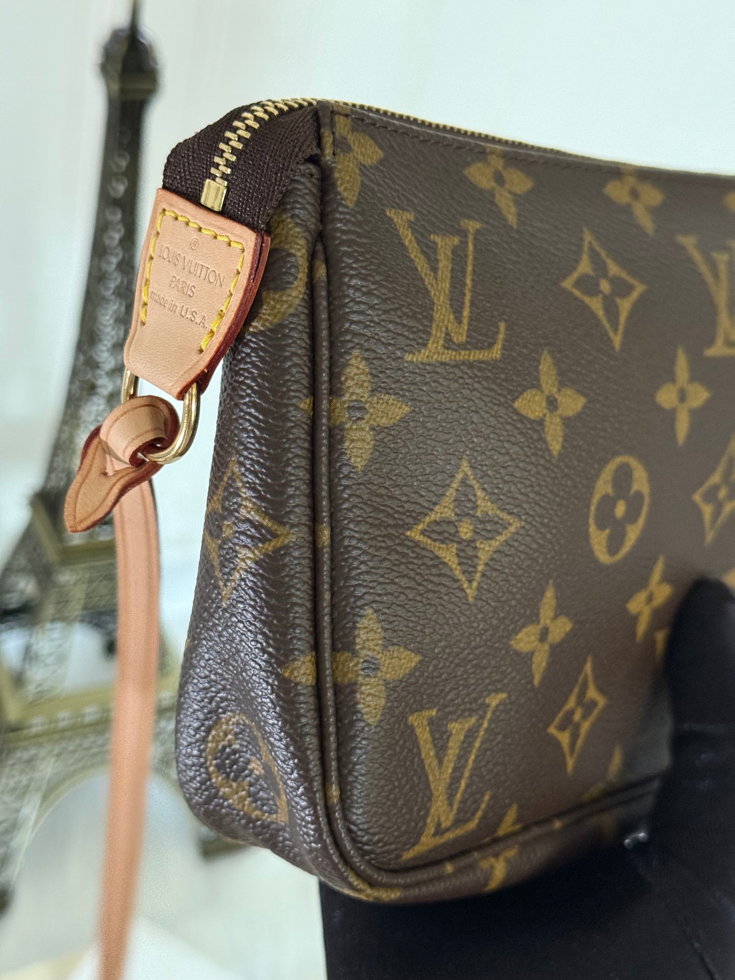 Louis Vuitton Pochette Accessoires Old Model Mono