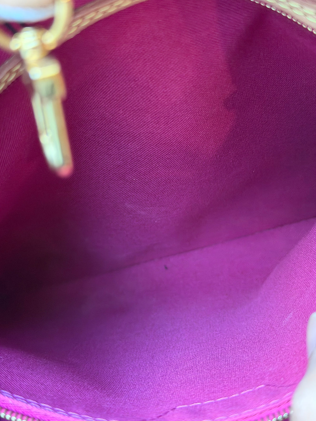 Louis Vuitton Neverfull GM Mono Pivoine SD0231