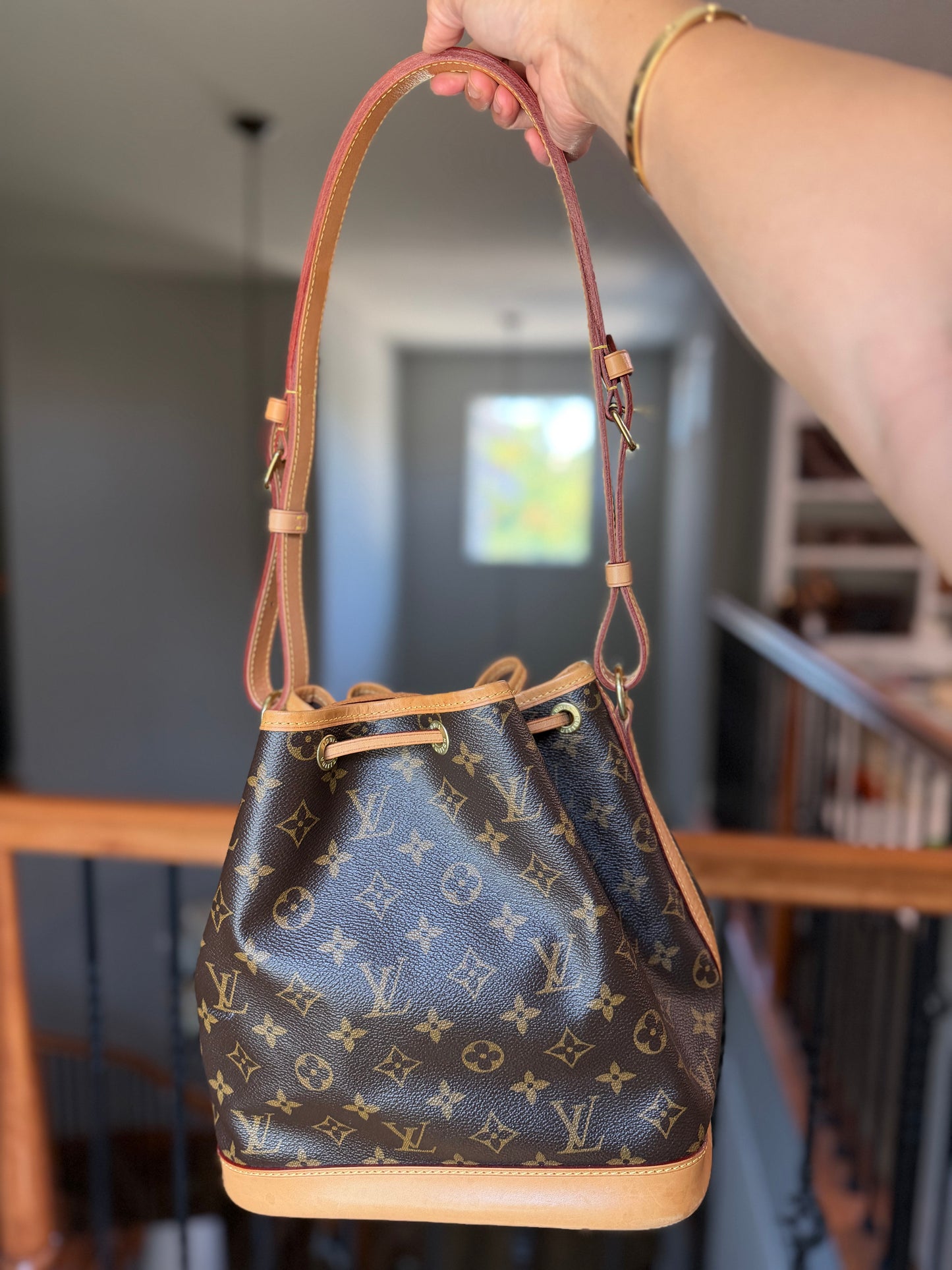 Louis Vuitton Petit Noe NM Mono