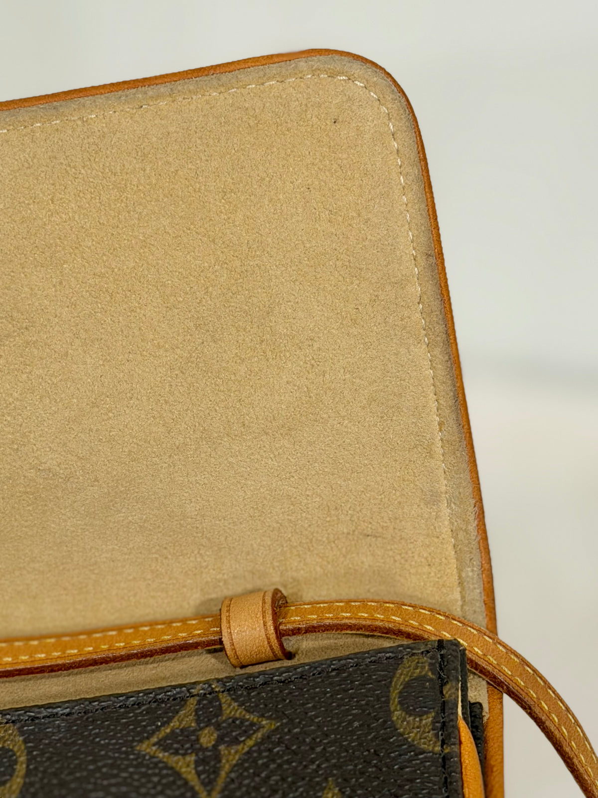 Louis Vuitton Twin Pochette GM Mono