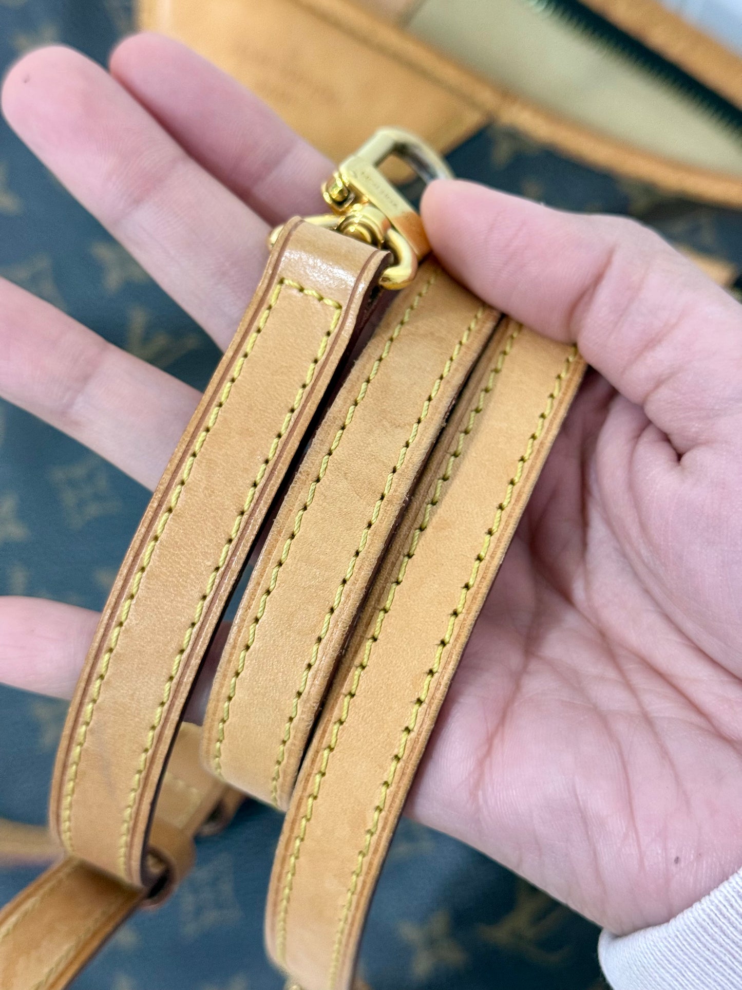 Louis Vuitton Estrela MM Mono