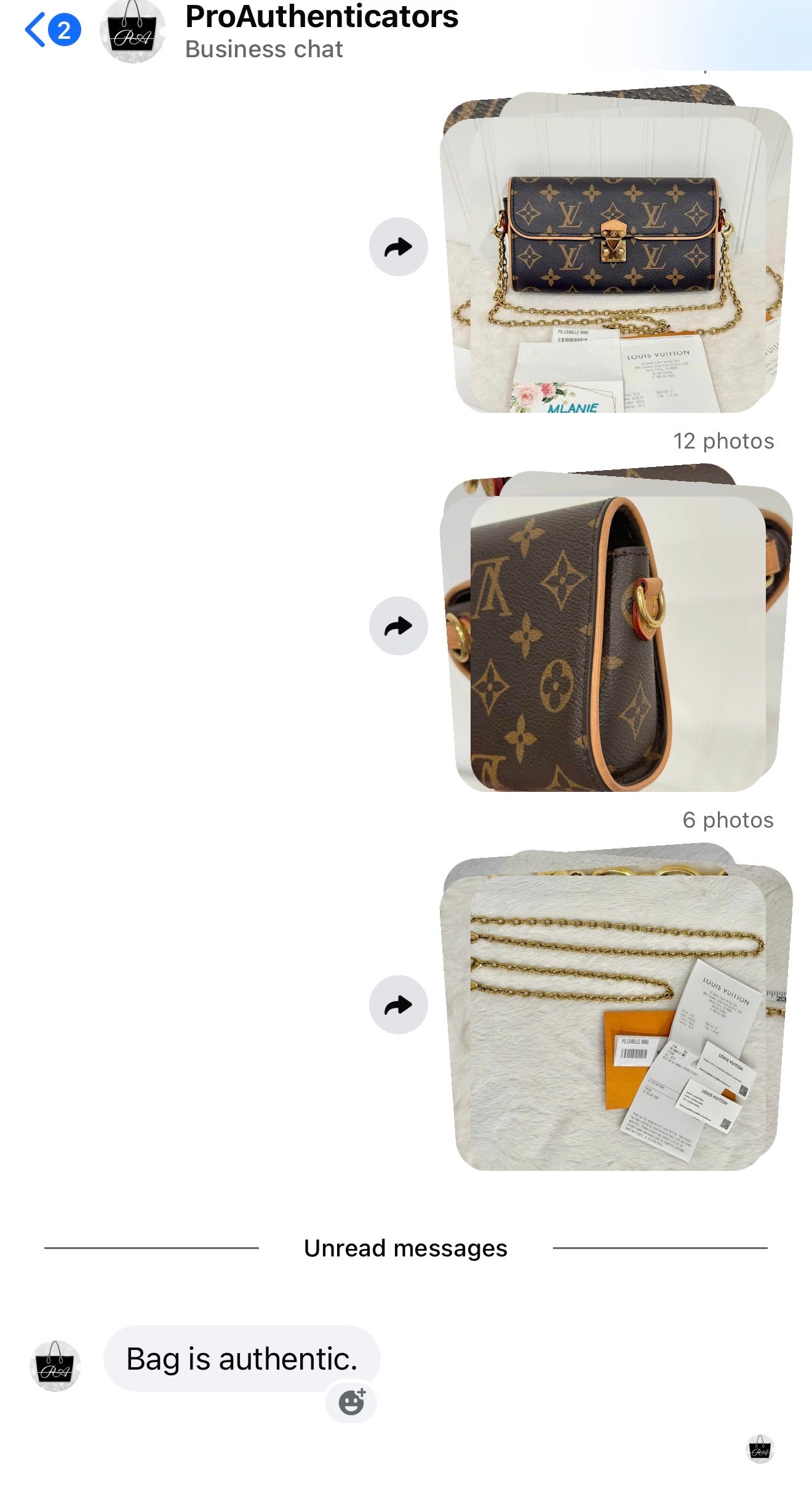 Louis Vuitton Pochette Camille
