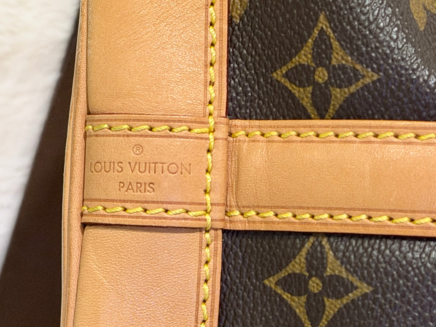 Louis Vuitton Petit Noe NM Mono