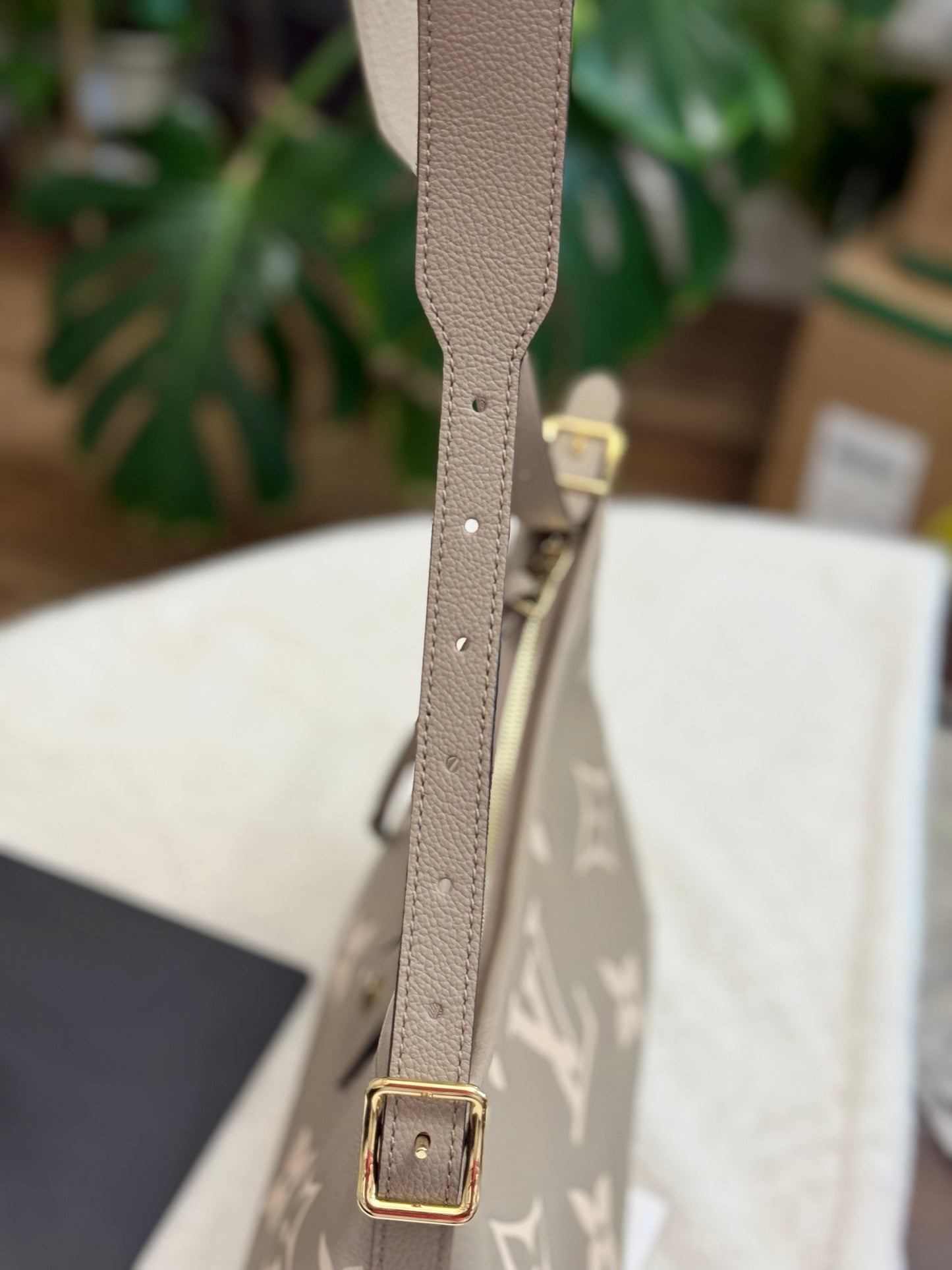 Louis Vuitton Carryall PM Bicolor Dove/Cream Bag