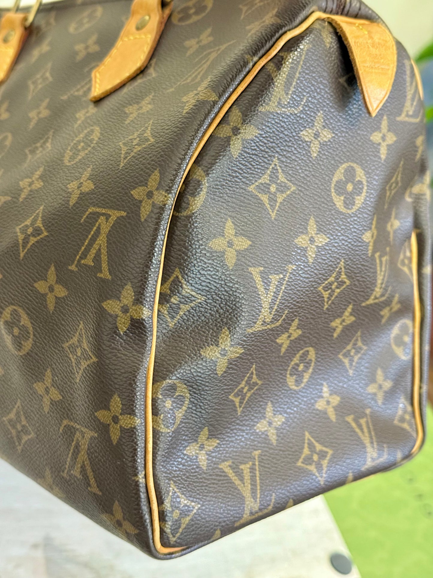 Louis Vuitton Speedy 30 Mono