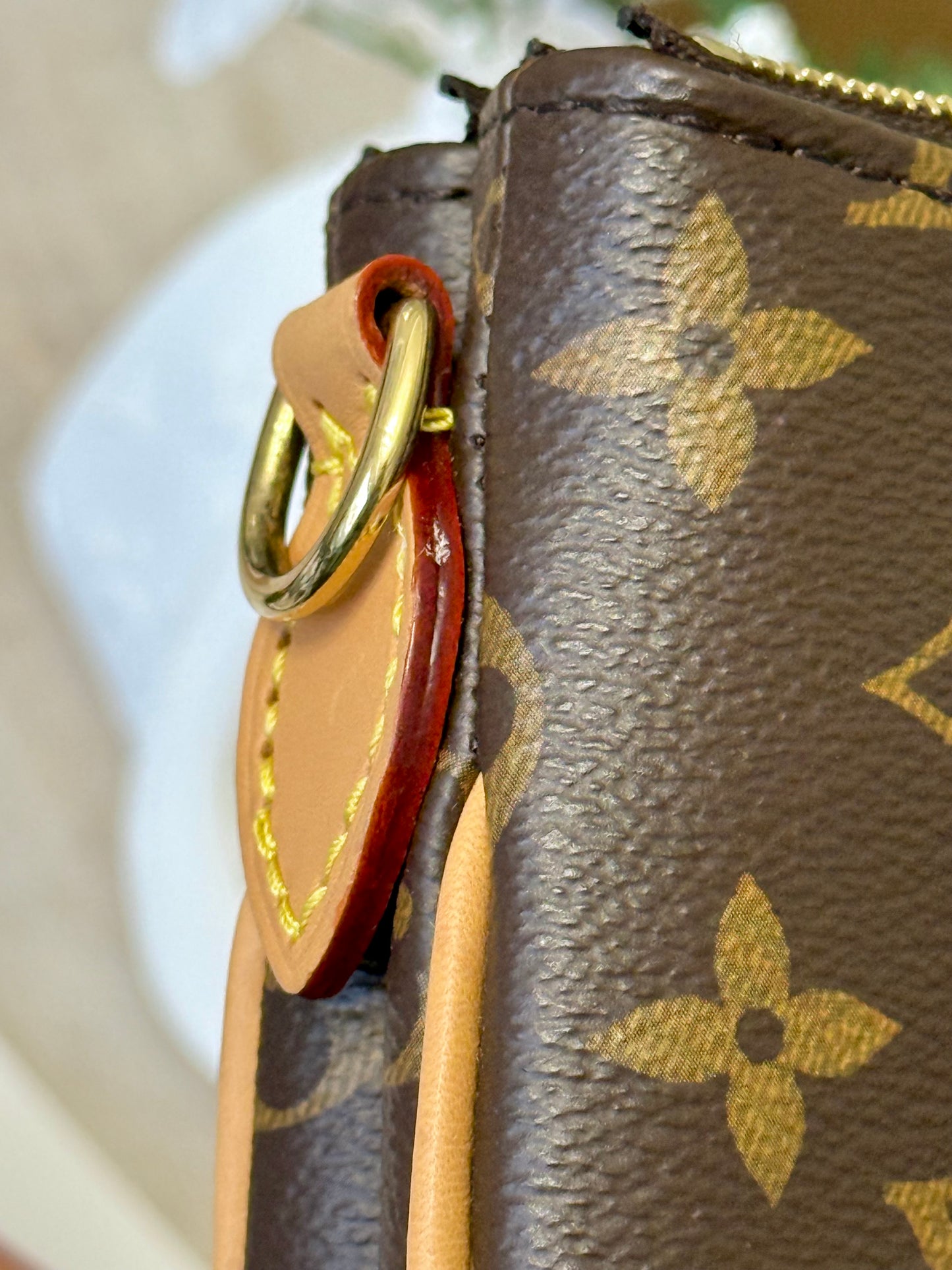 Louis Vuitton Pochette Liv Mono