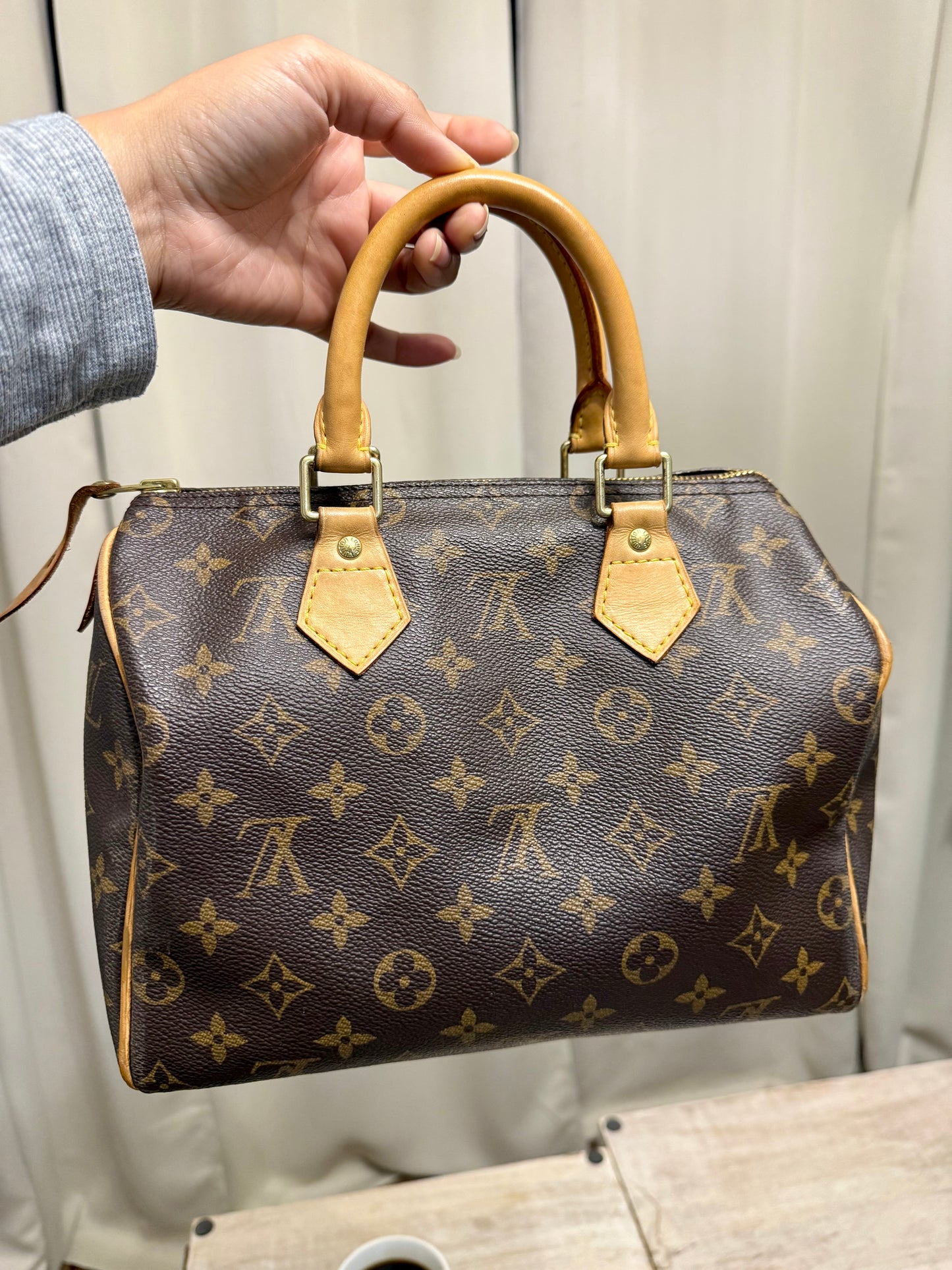 Louis Vuitton Speedy 25 Mono