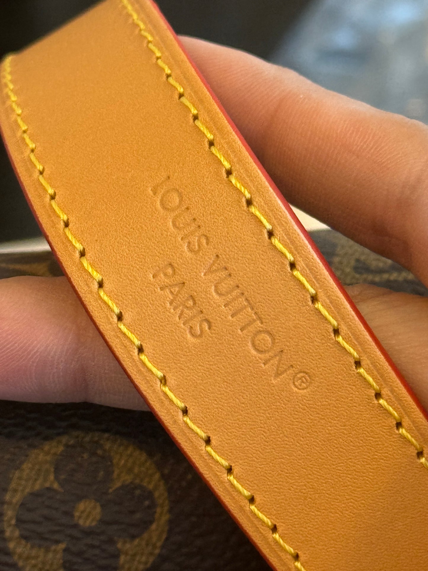 Louis Vuitton Diane Mono