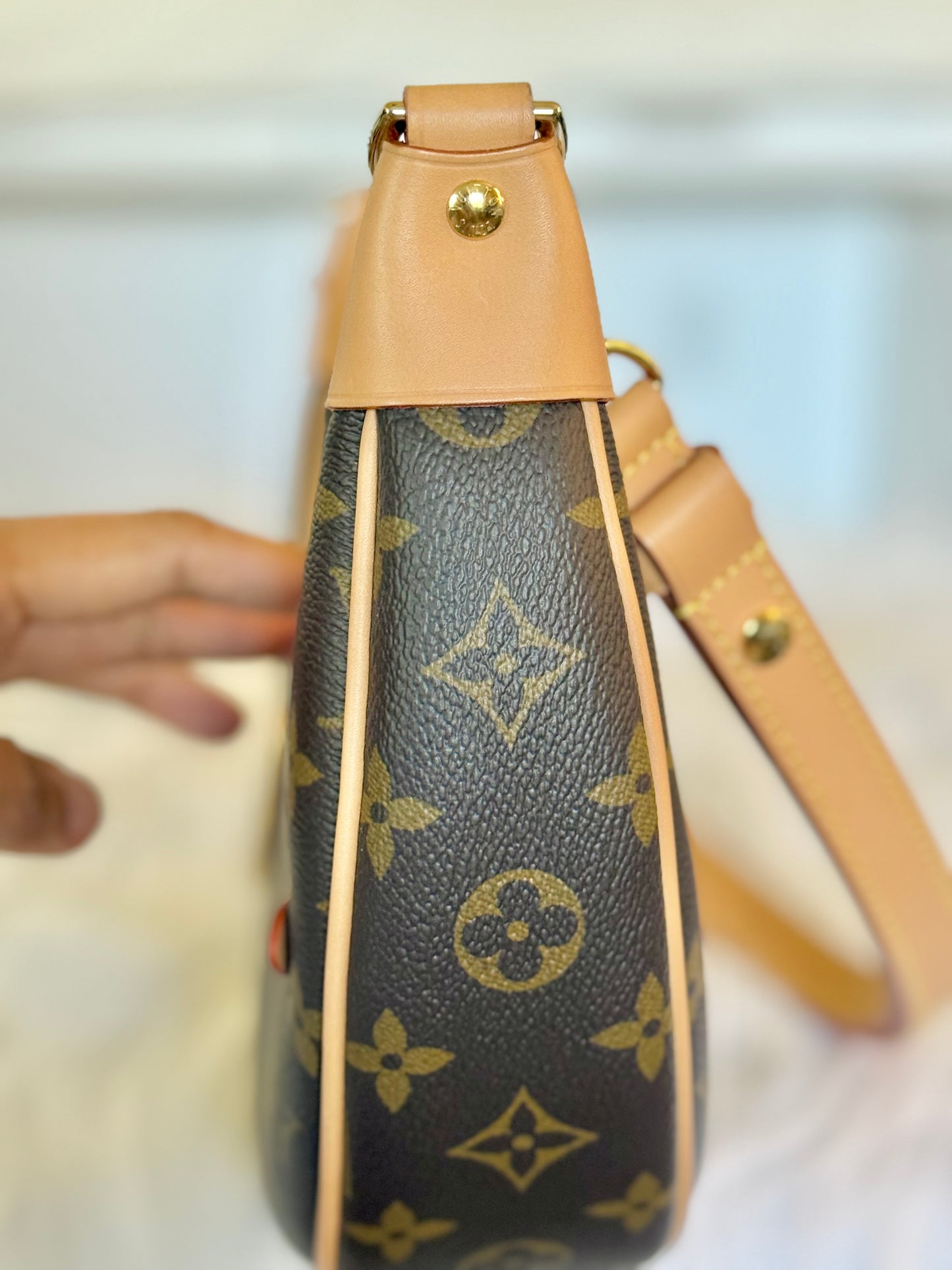 Louis Vuitton Loop PM Mono