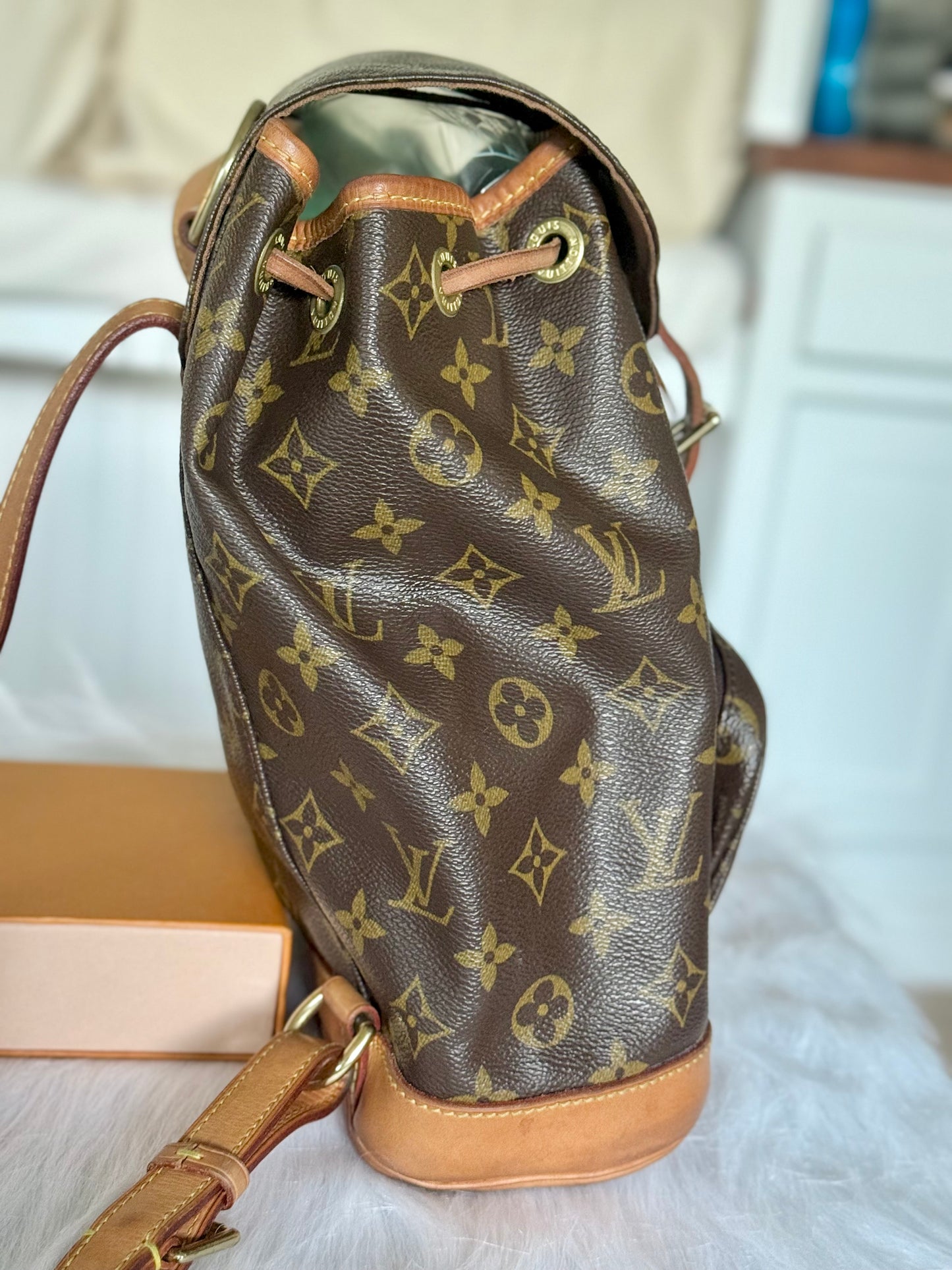 Louis Vuitton Montsouris PM Mono Old Model