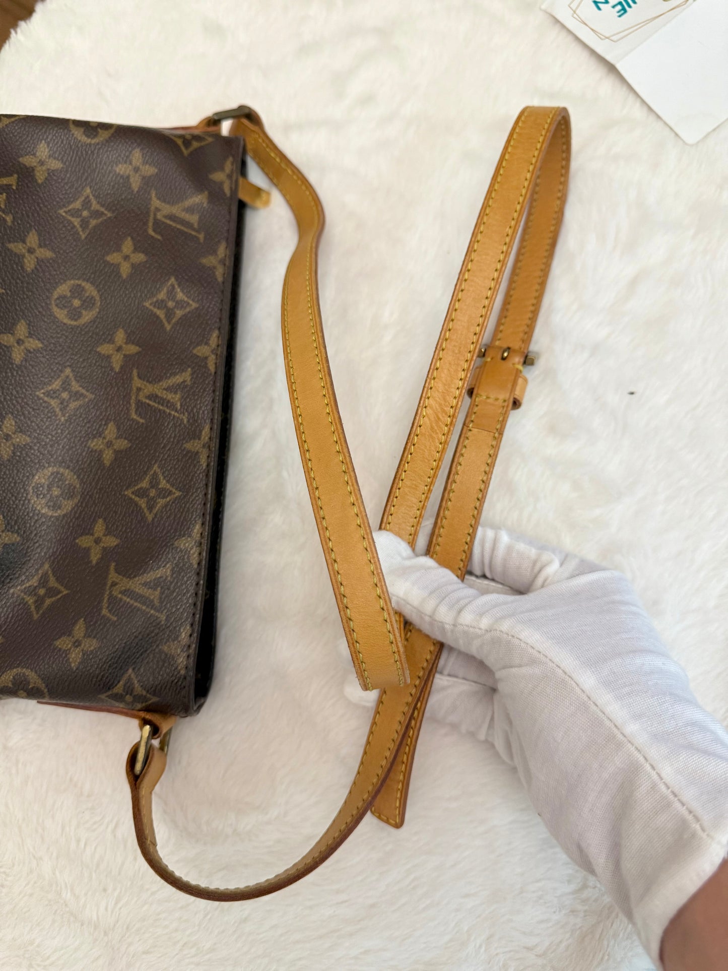 Louis Vuitton Trotteur Mono