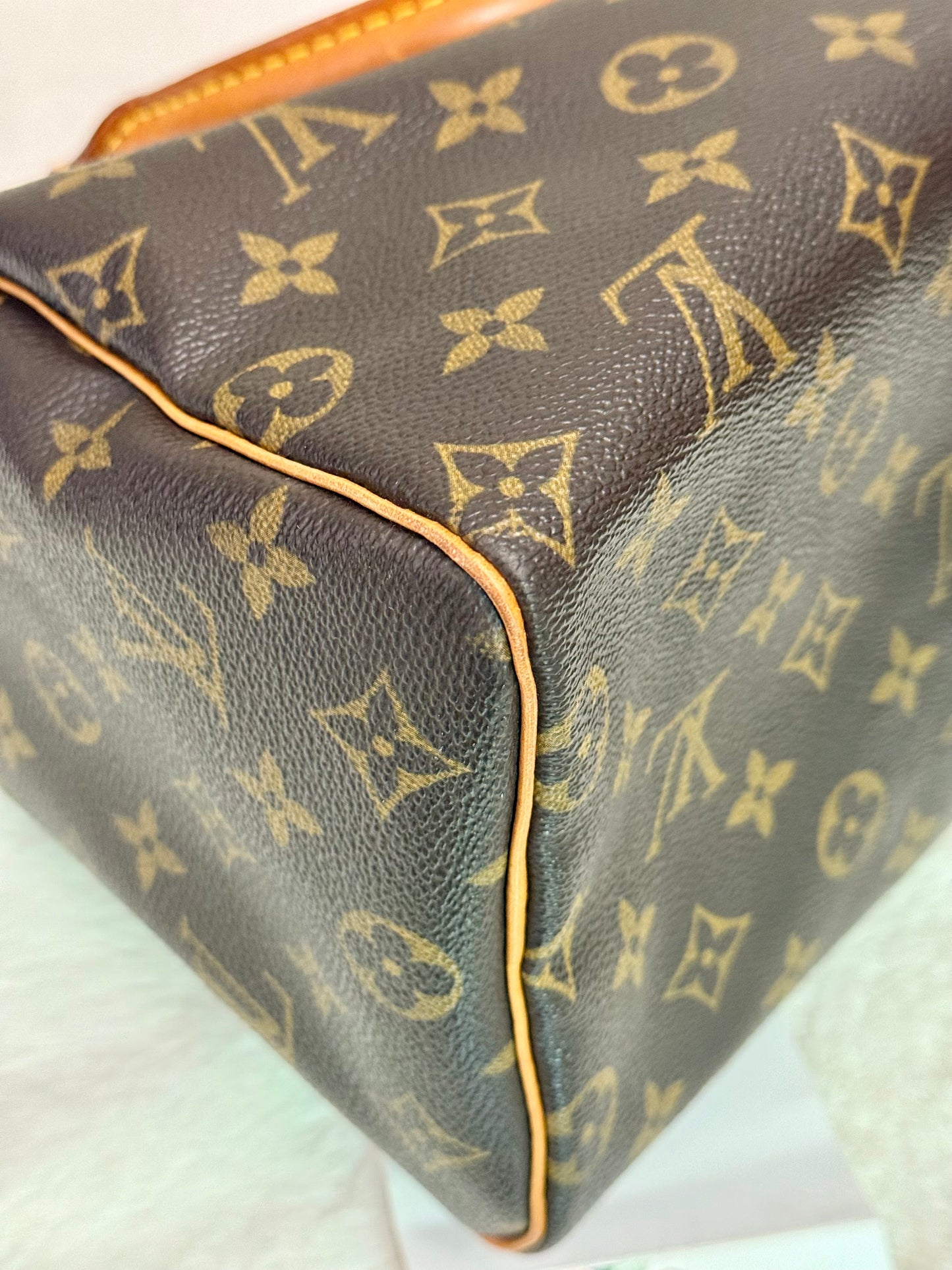 Louis Vuitton Speedy 25 Mono