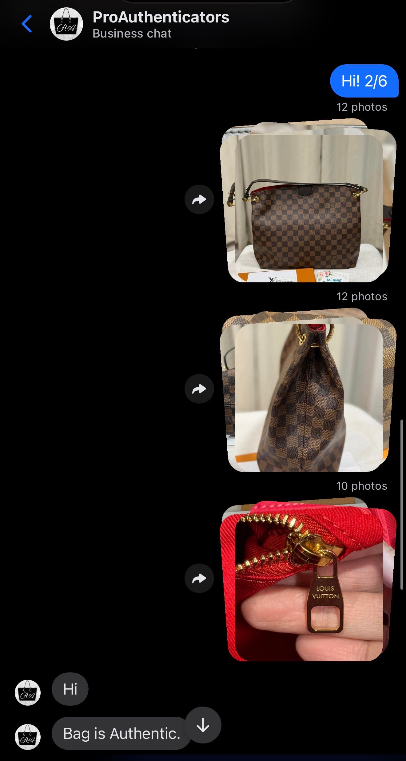 Louis Vuitton Graceful PM Damier Ebene