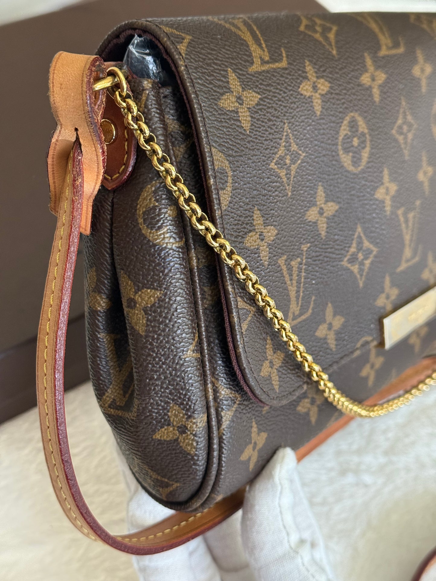Louis Vuitton Favorite MM Mono