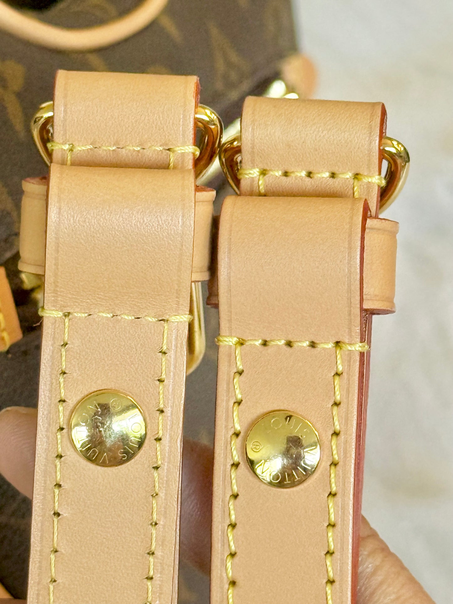 Louis Vuitton Loop PM Mono