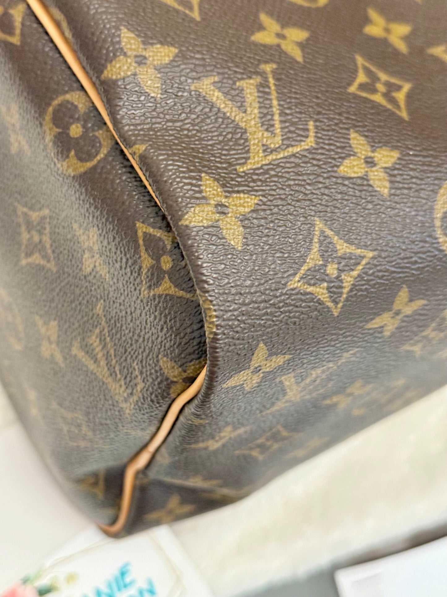 Louis Vuitton Speedy 30 Mono