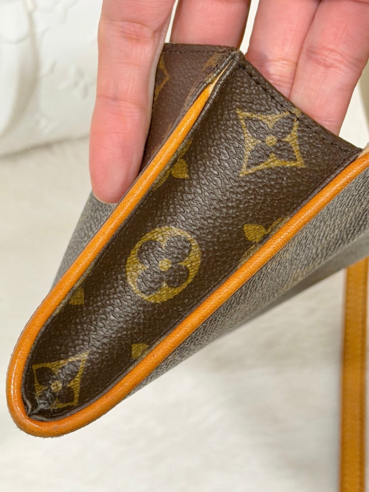 Louis Vuitton Twin Pochette GM Mono