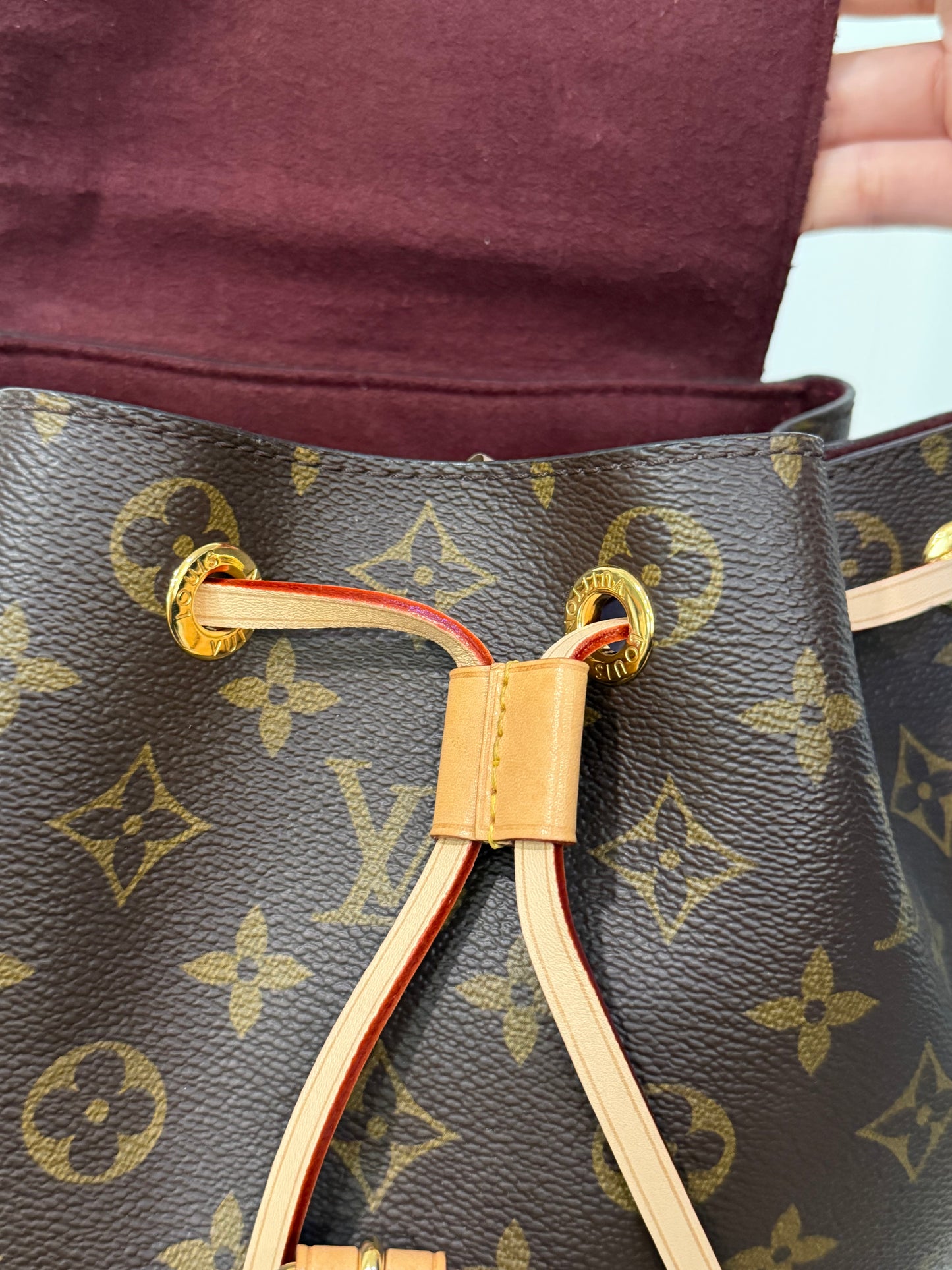 Louis Vuitton Montsouris NM Mono Backpack