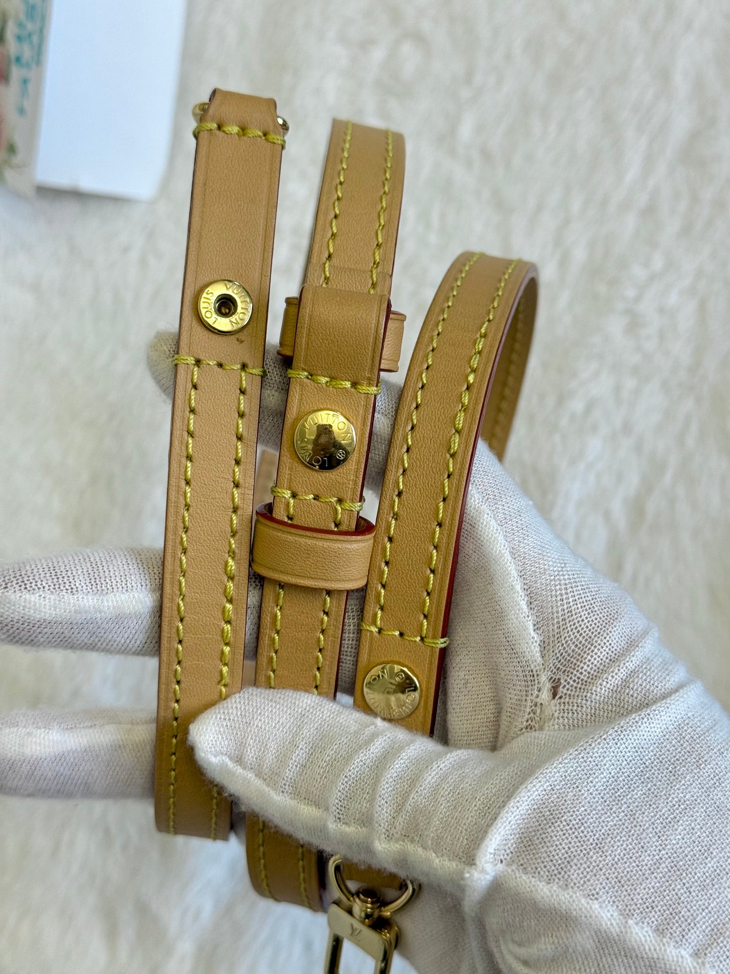 Louis Vuitton Wallet on Chain Ivy Mono