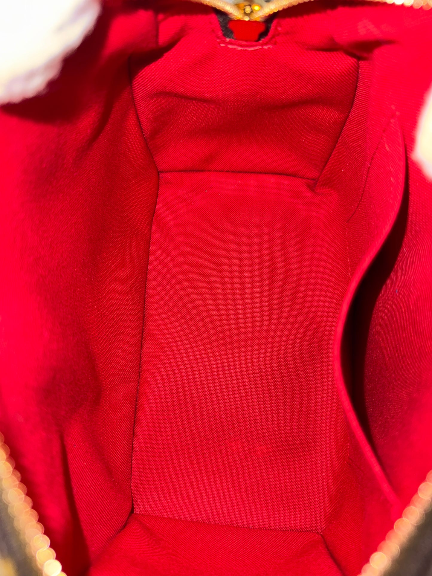 Louis Vuitton Speedy Bandouliere Mono (Bag Only)