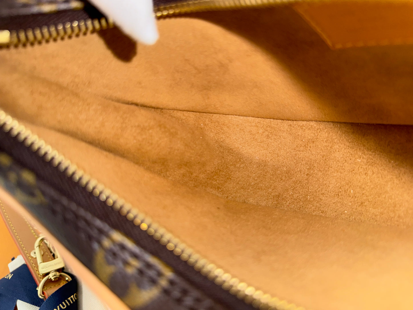 Louis Vuitton Loop PM Mono