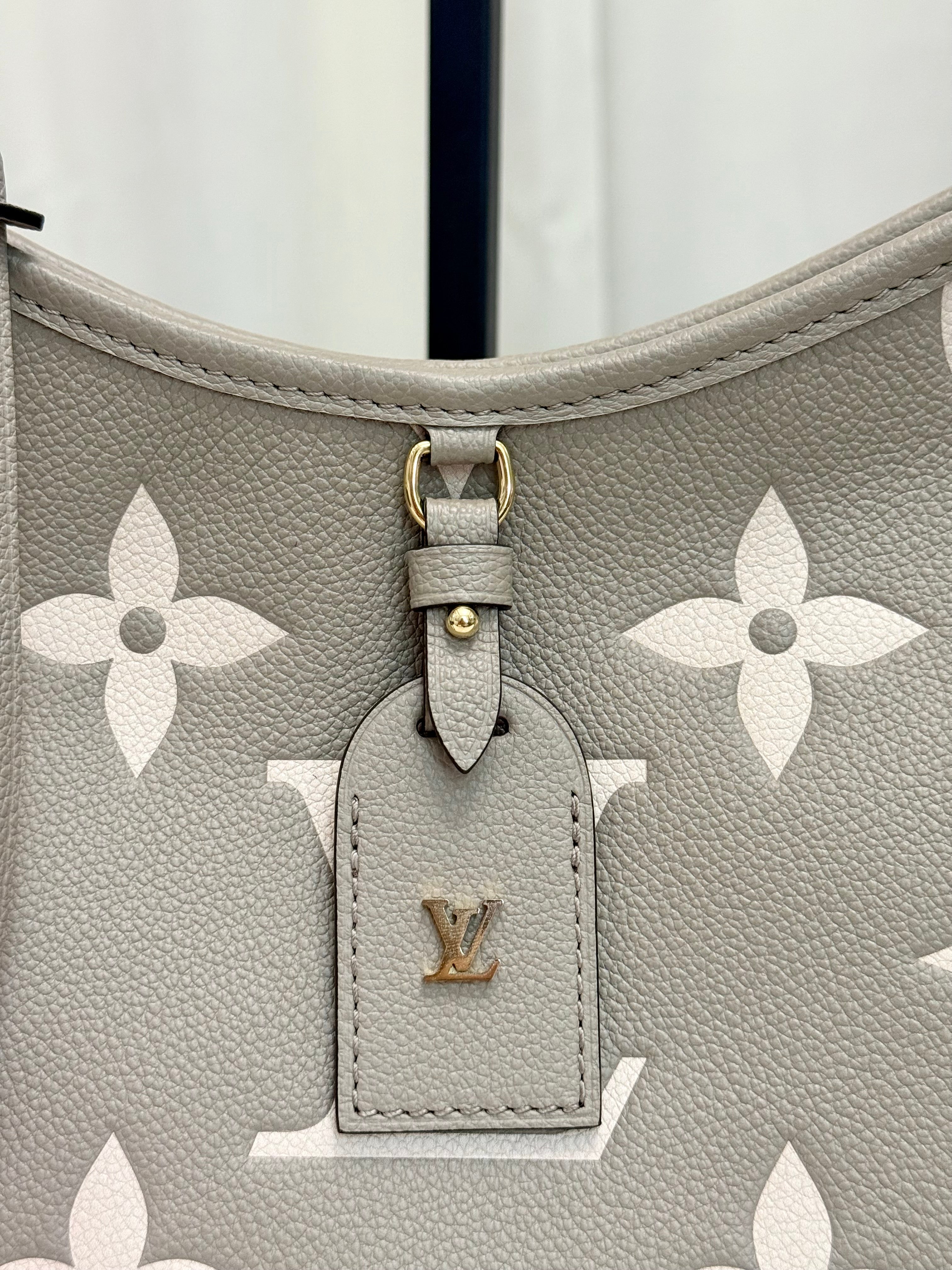 Louis Vuitton Carryall PM Bicolor Dove/Cream Bag – Lanie's Luxury