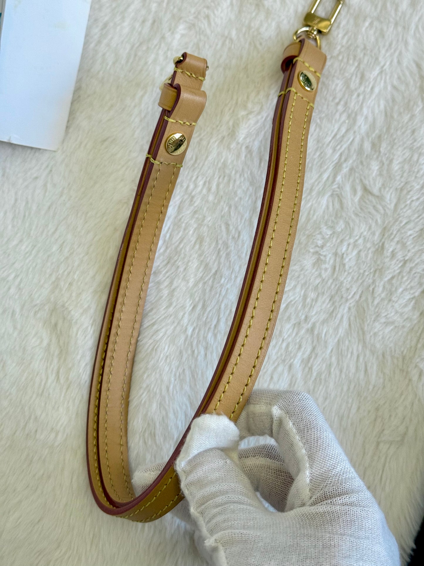 Louis Vuitton Wallet on Chain Ivy Mono
