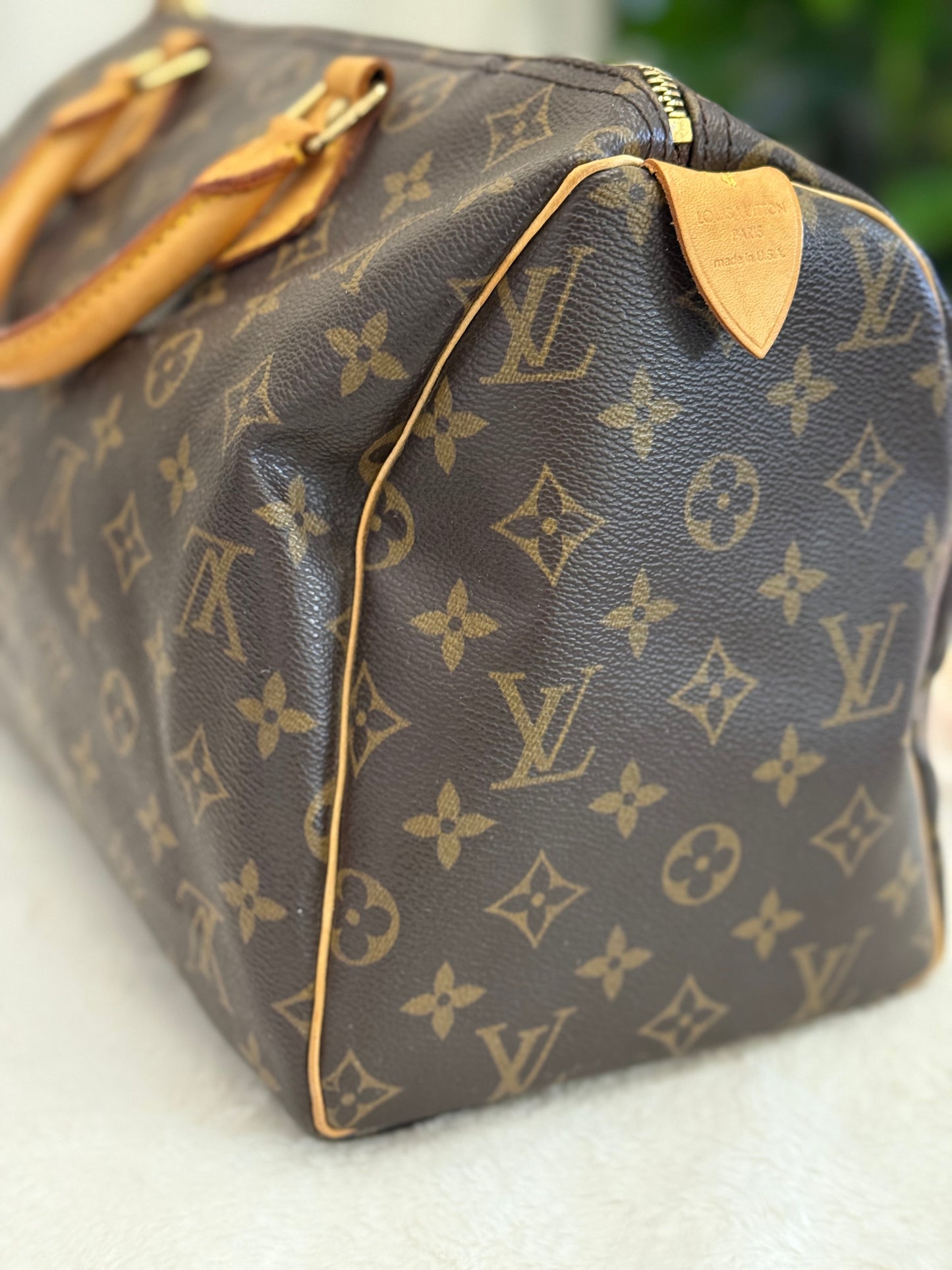 Louis Vuitton Speedy 30 Mono