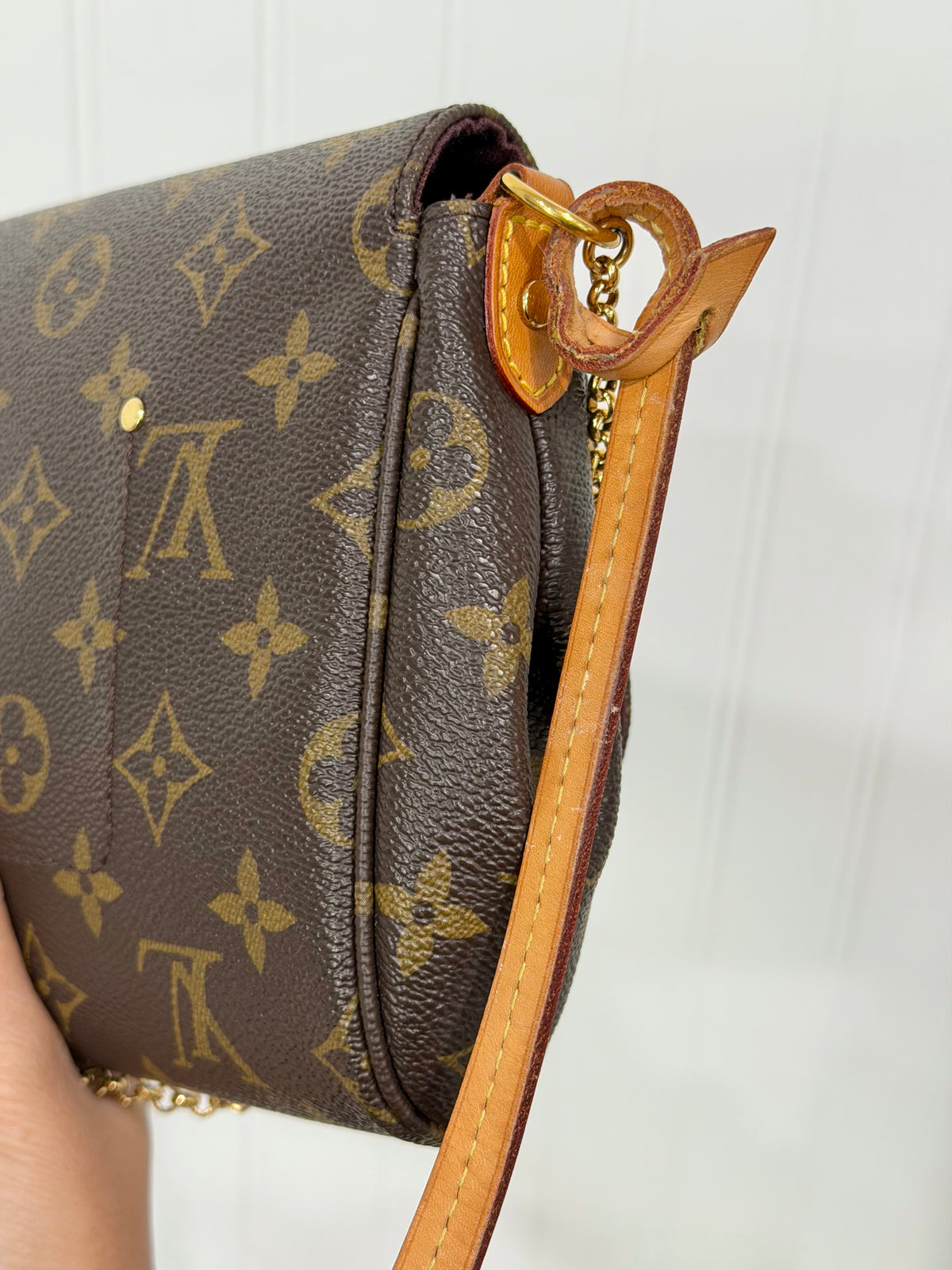 Louis Vuitton Favorite MM Mono SA1107