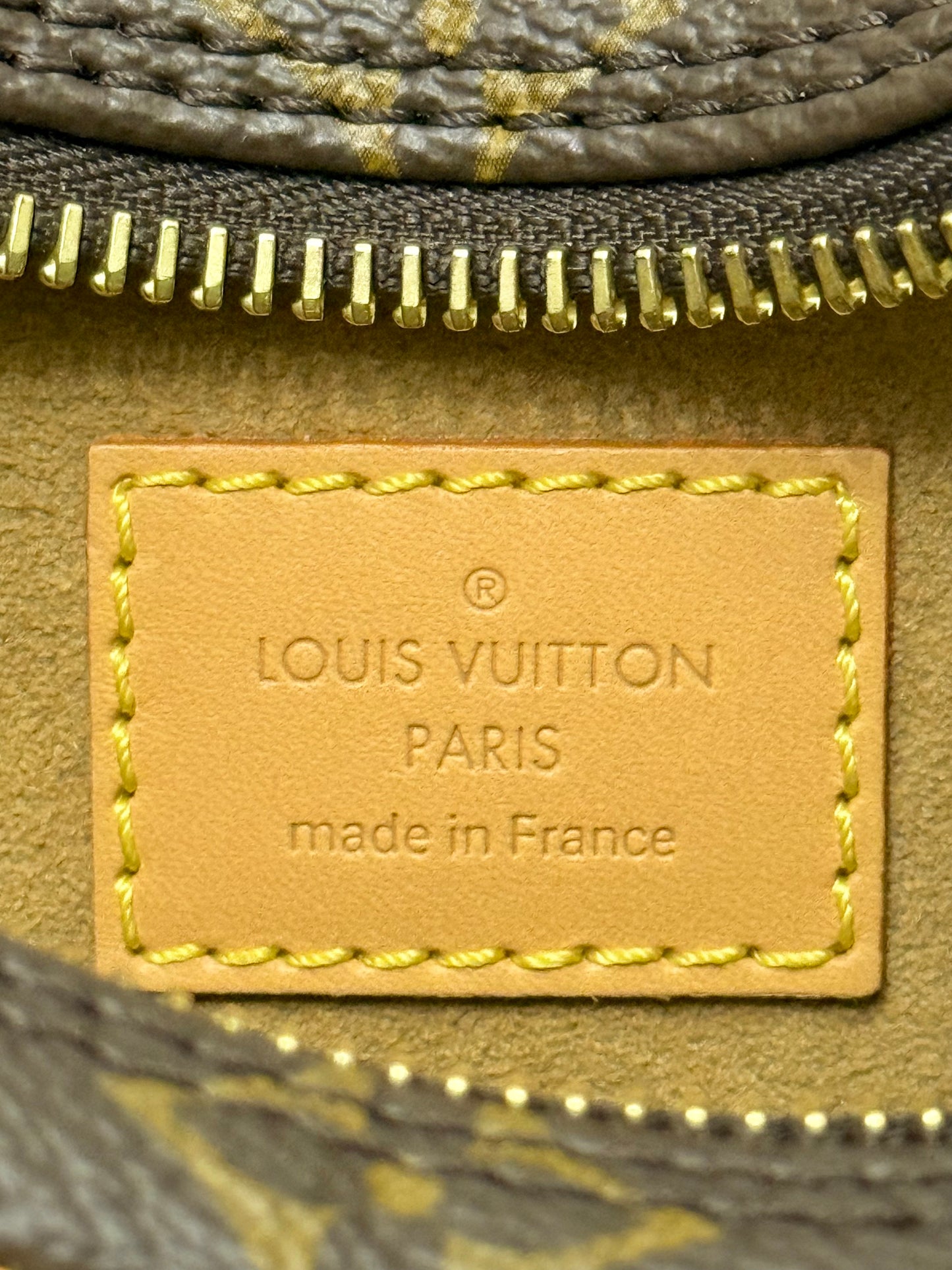 Louis Vuitton Loop PM Mono