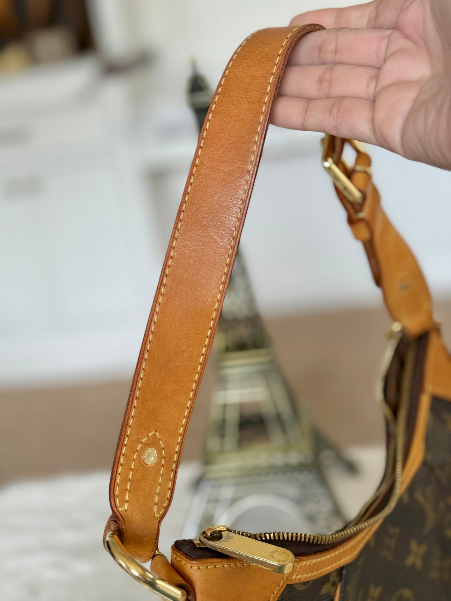 Louis Vuitton Thames PM Mono