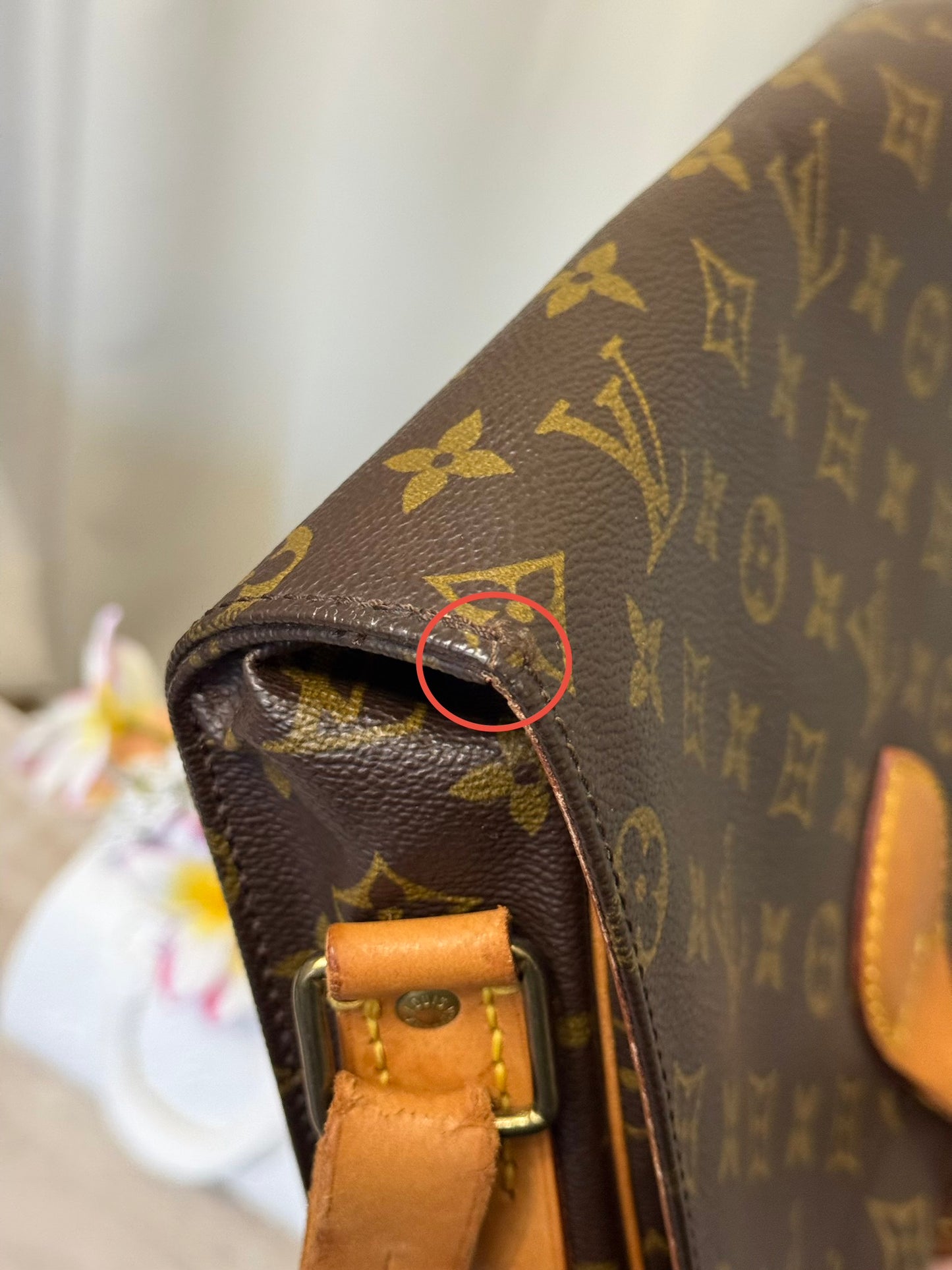 Louis Vuitton Cartouchiere GM Mono