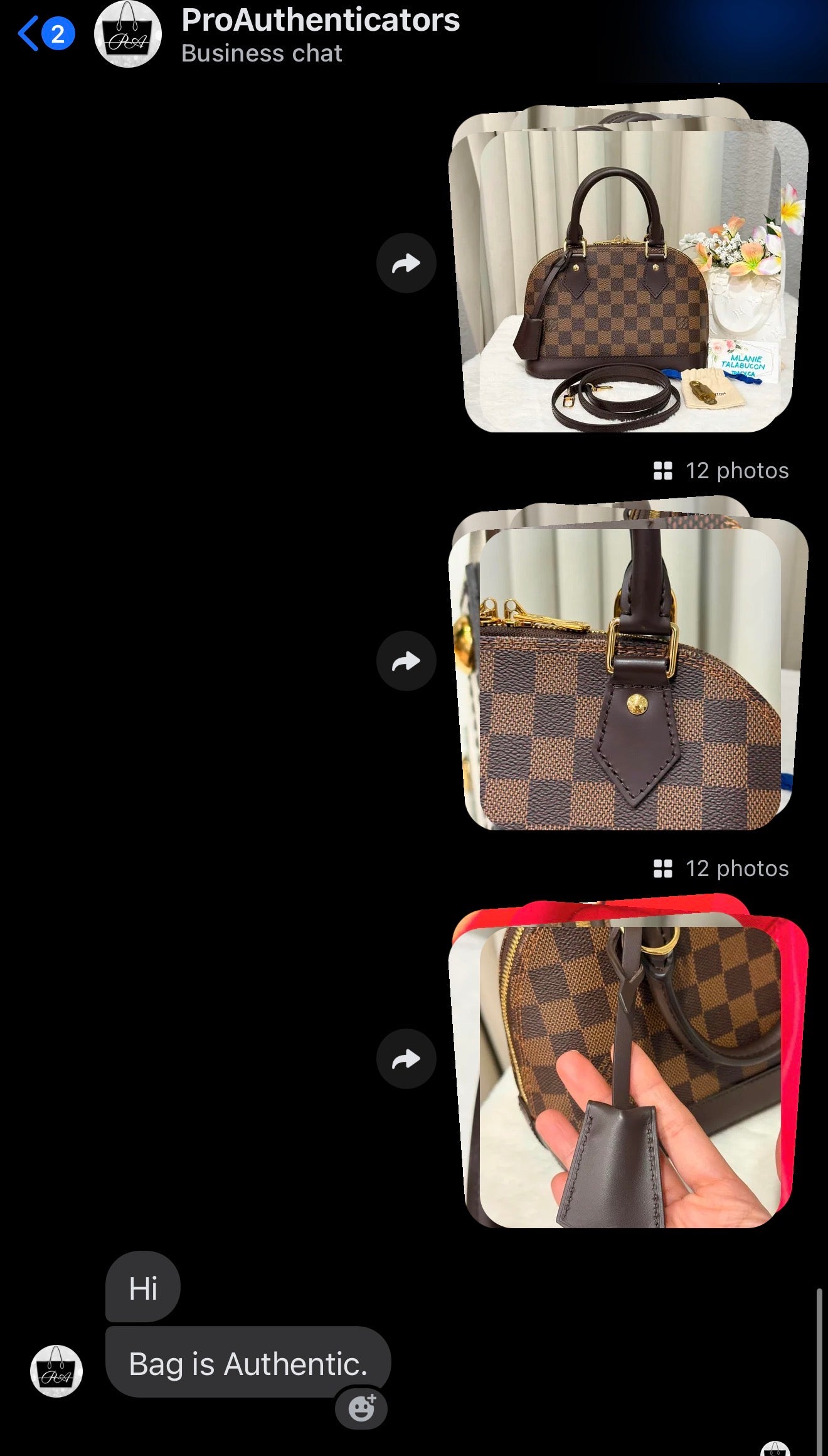 Louis Vuitton Alma BB Damier Ebene