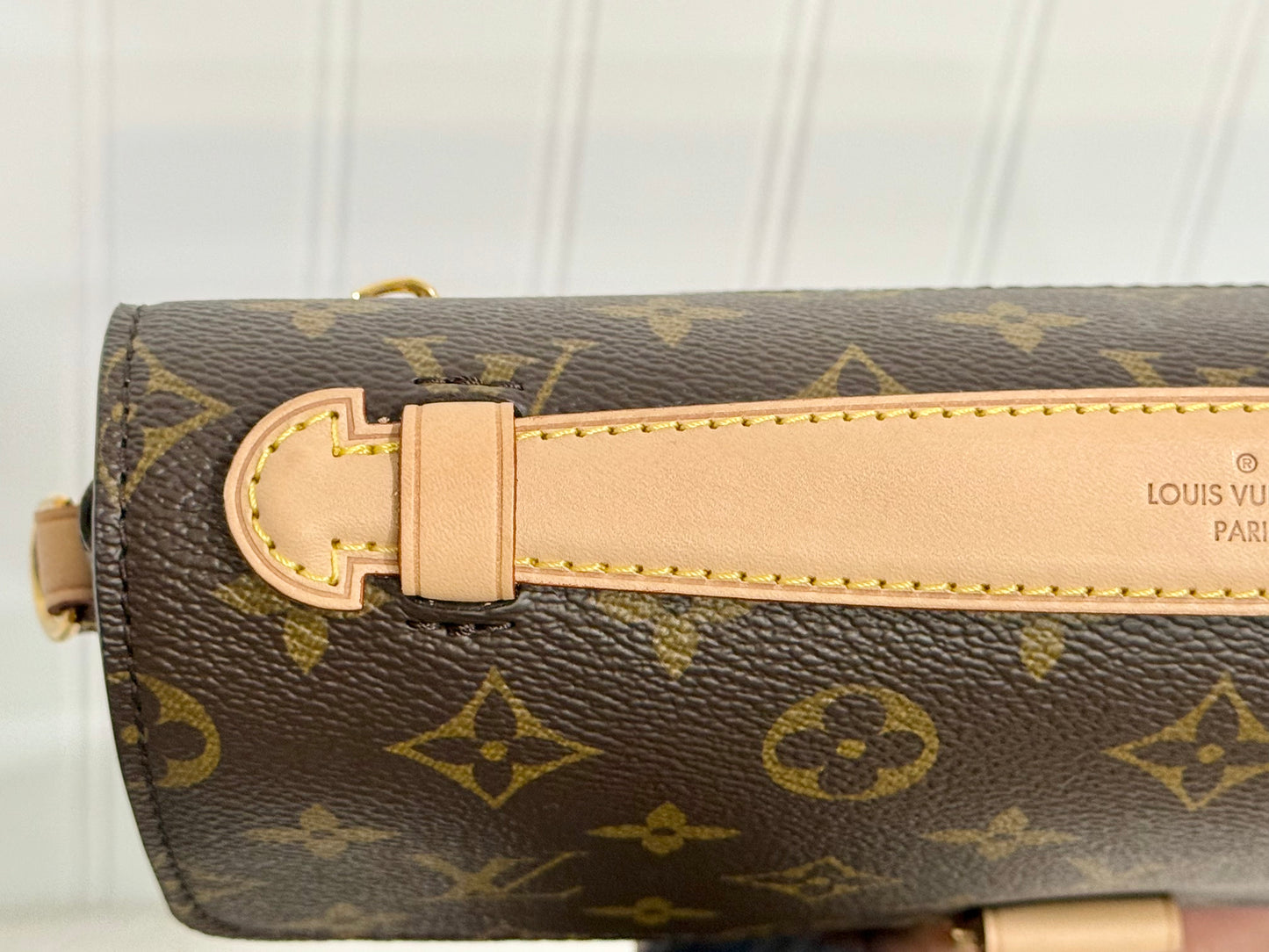 Louis Vuitton Pochette Metis Mono