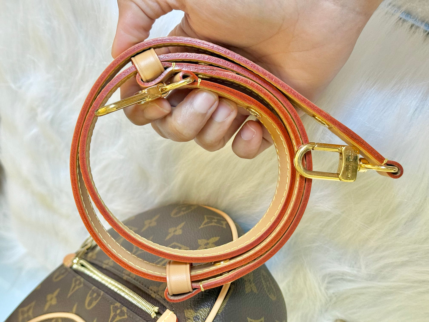Louis Vuitton Loop PM Mono