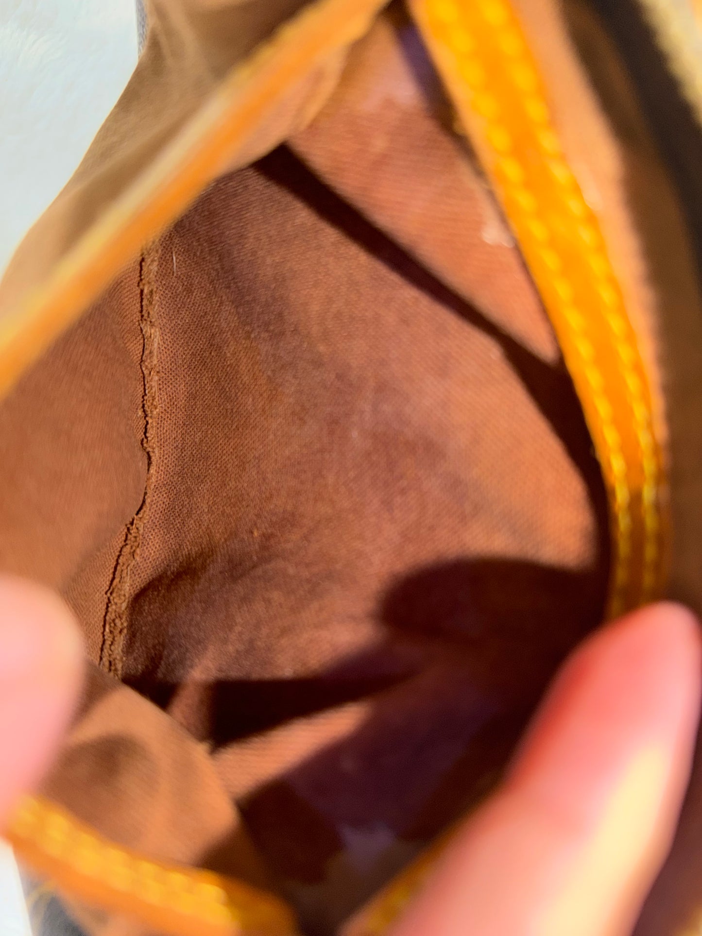 Louis Vuitton Speedy 25 Mono