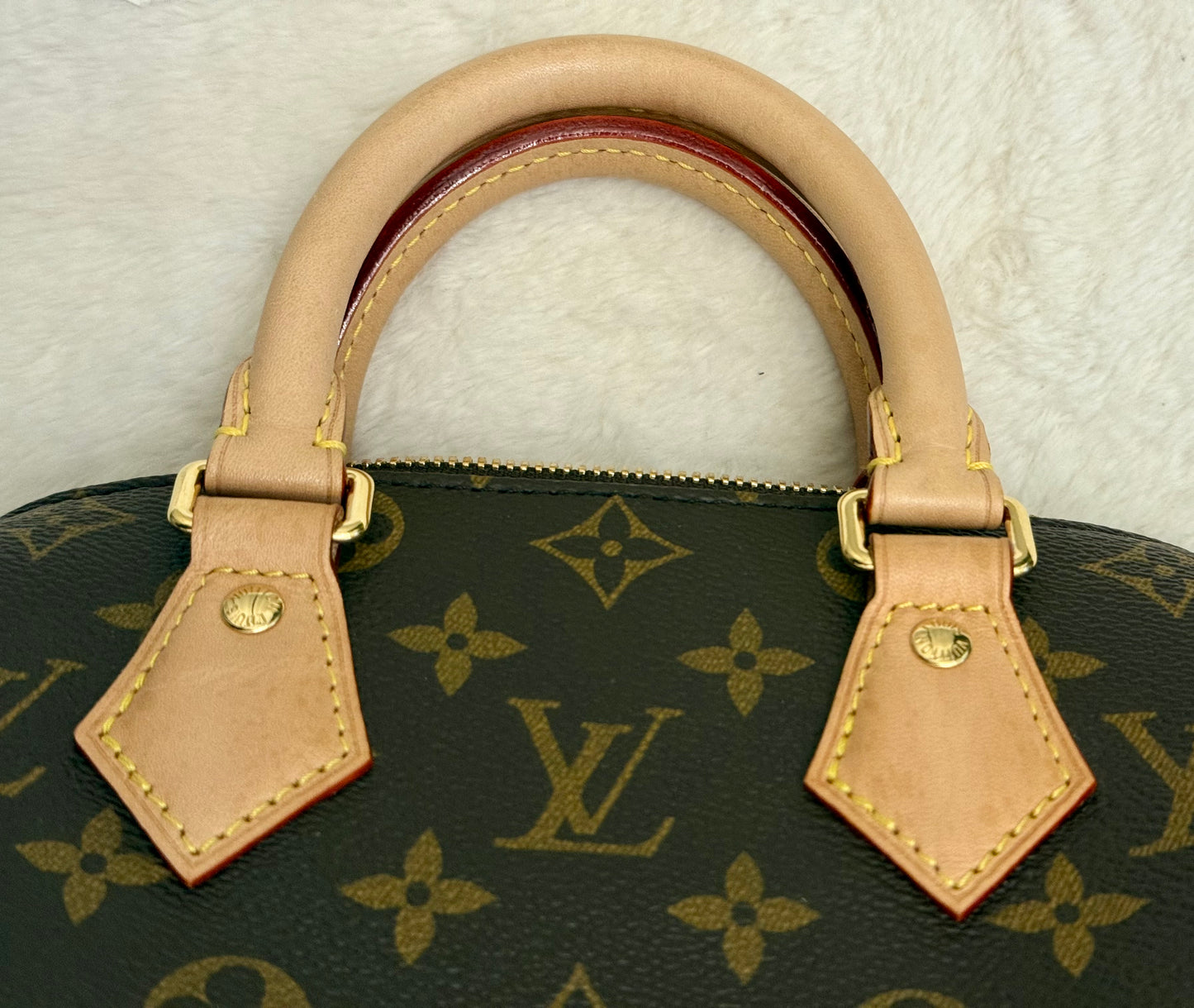 Louis Vuitton Speedy 20 Mono Bag Only