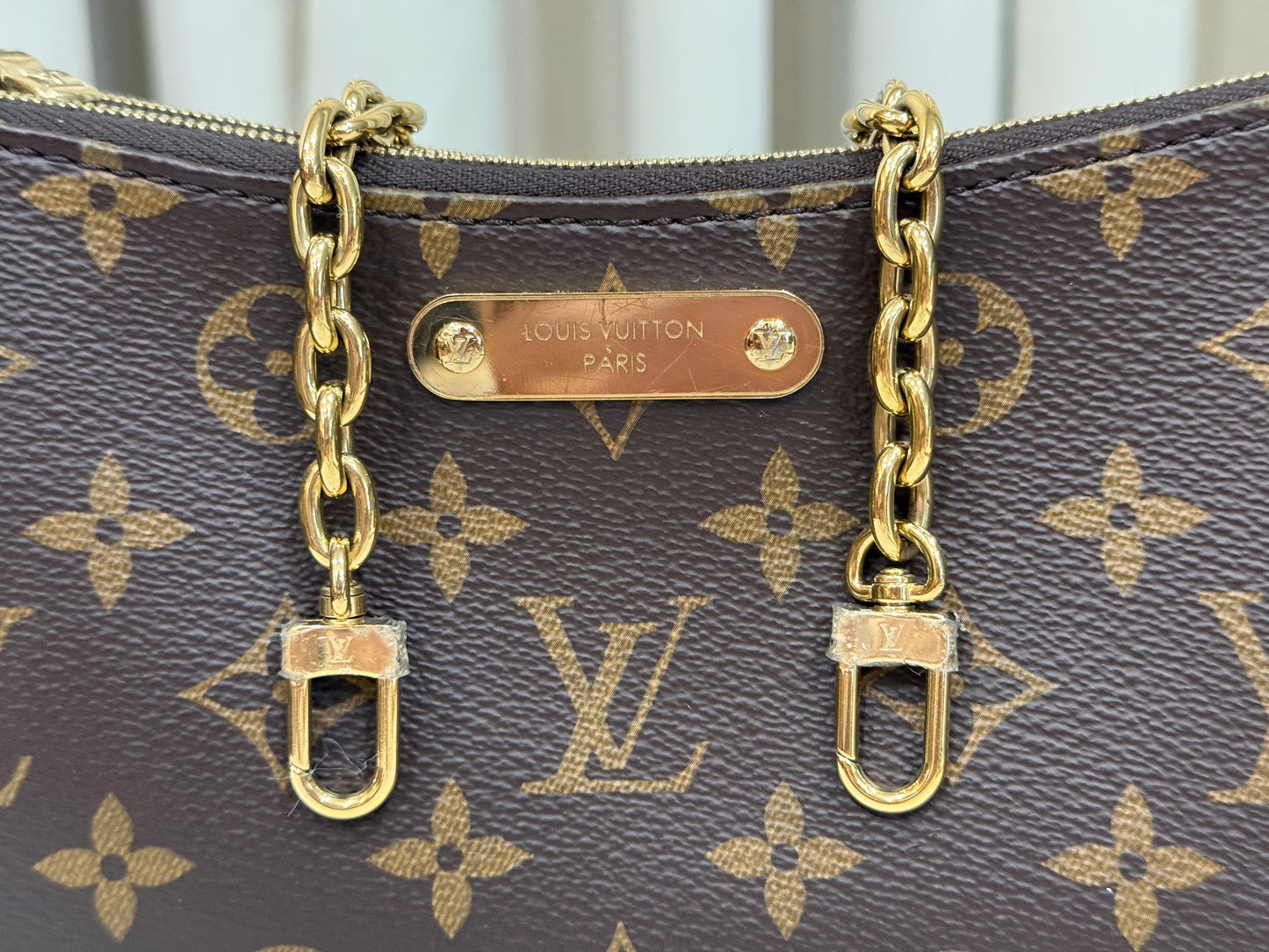 Louis Vuitton Pochette Liv Mono
