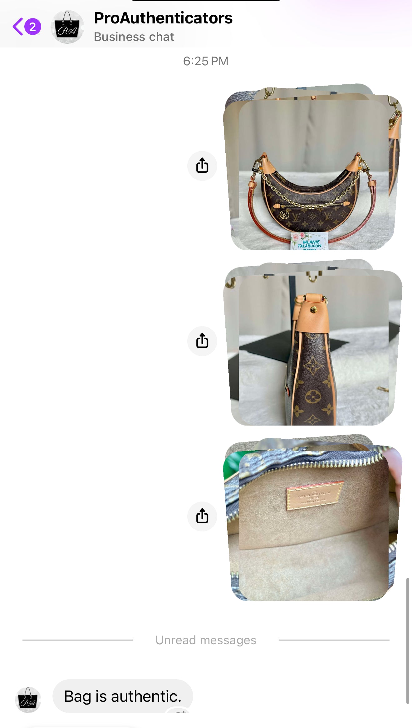 Louis Vuitton Loop PM Mono