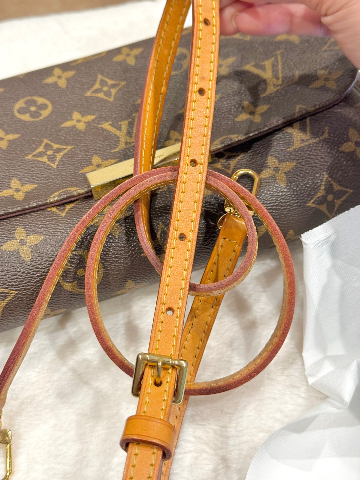 Louis Vuitton Favorite MM Mono DU2163