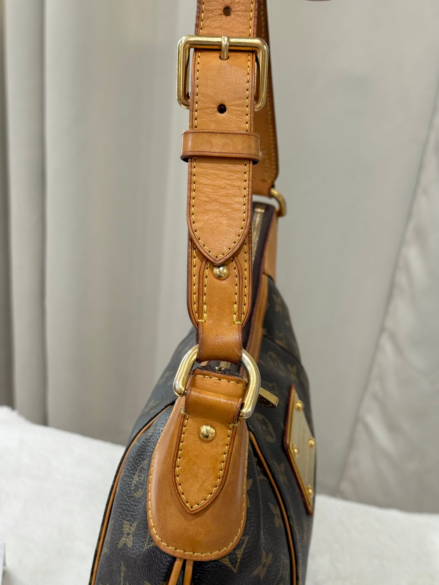 Louis Vuitton Thames GM Mono